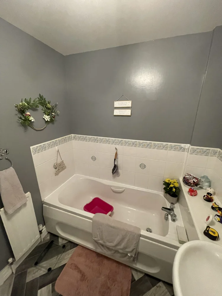 Before renovation, bath-to-shower project 78