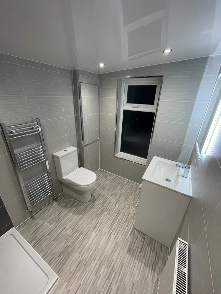 Wall-panelled bathroom installation, photograph 98