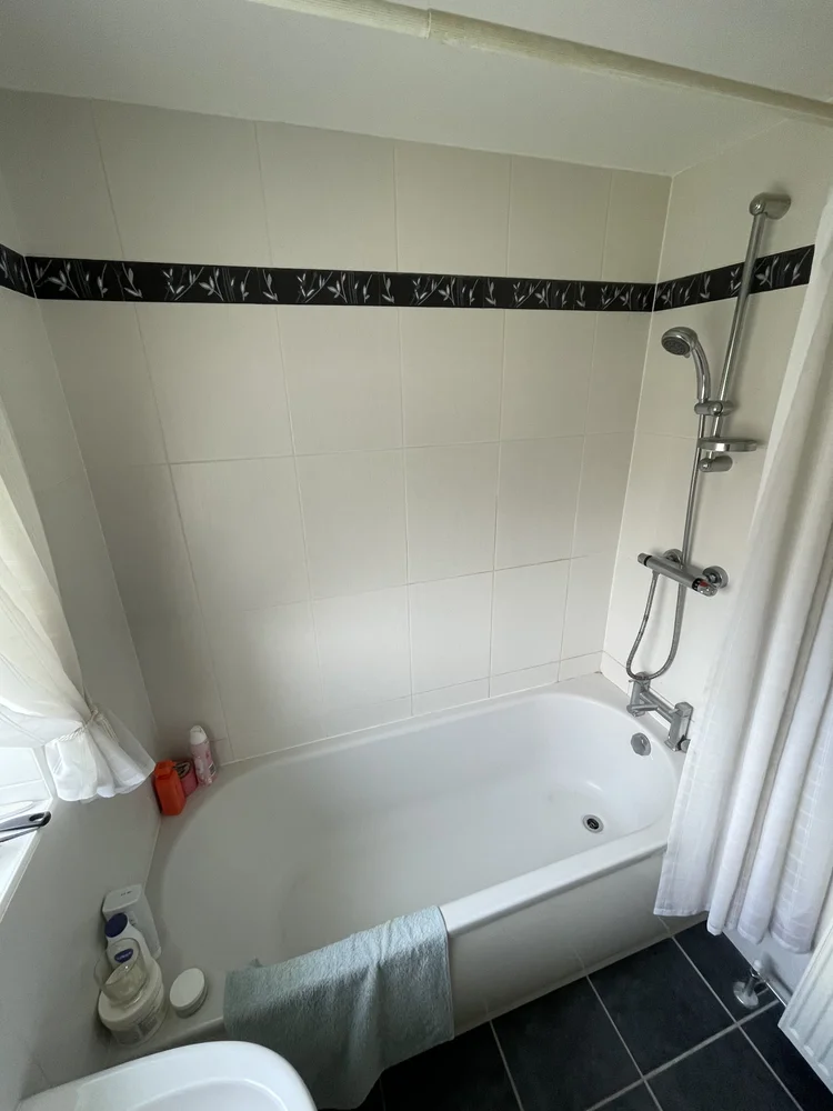 Before renovation, bath-to-shower project 65