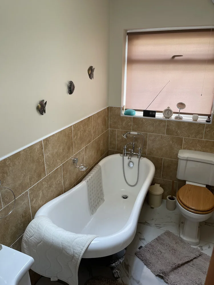 Before renovation, bath-to-shower project 112