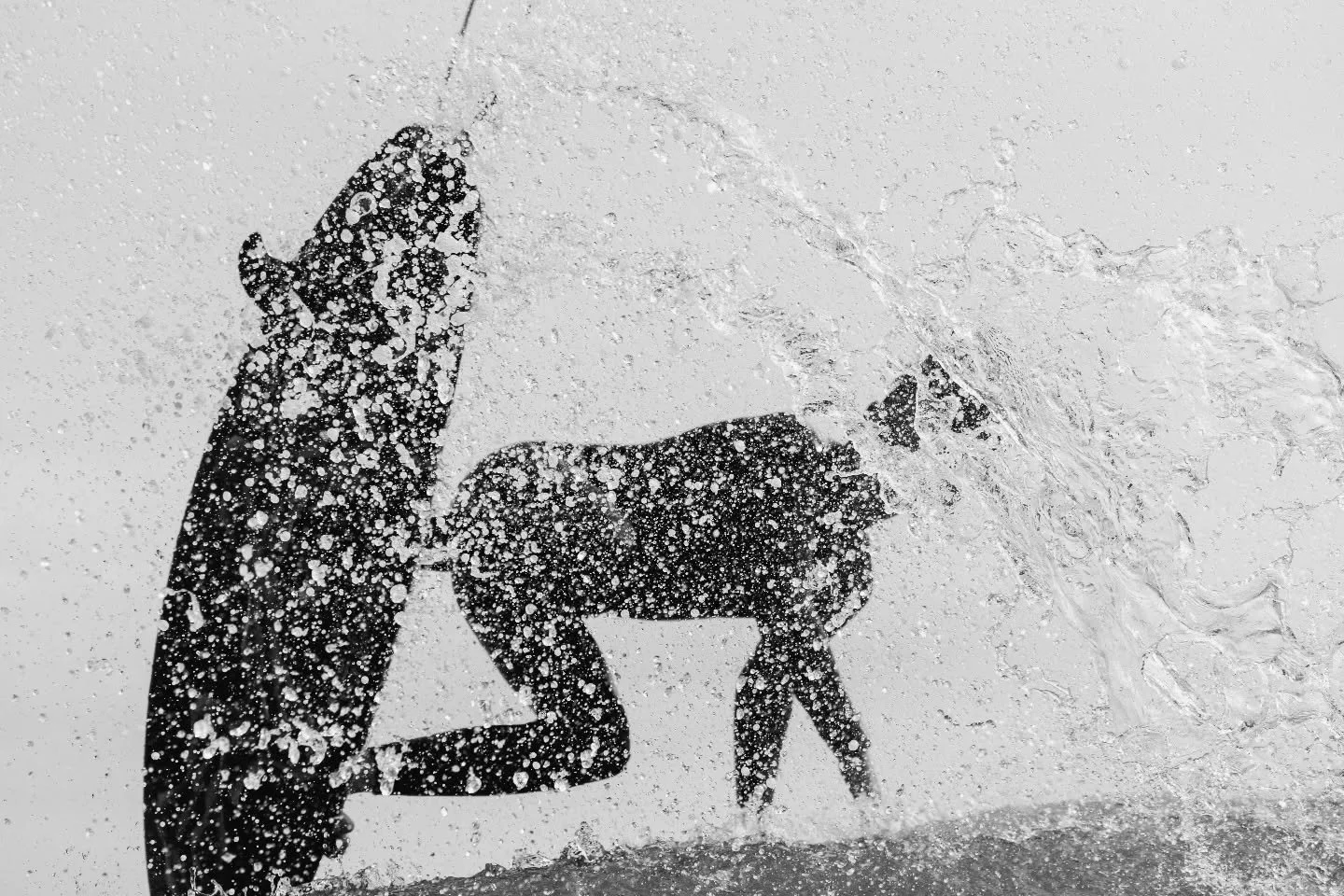 Seignosse with @ethan_fernandez40, around the @quiksilver_festival last year. 

The level of surfing really elevates during this time of the year with lots of excellent international surfers so everyone is pushing hard. Can't wait for this year editi