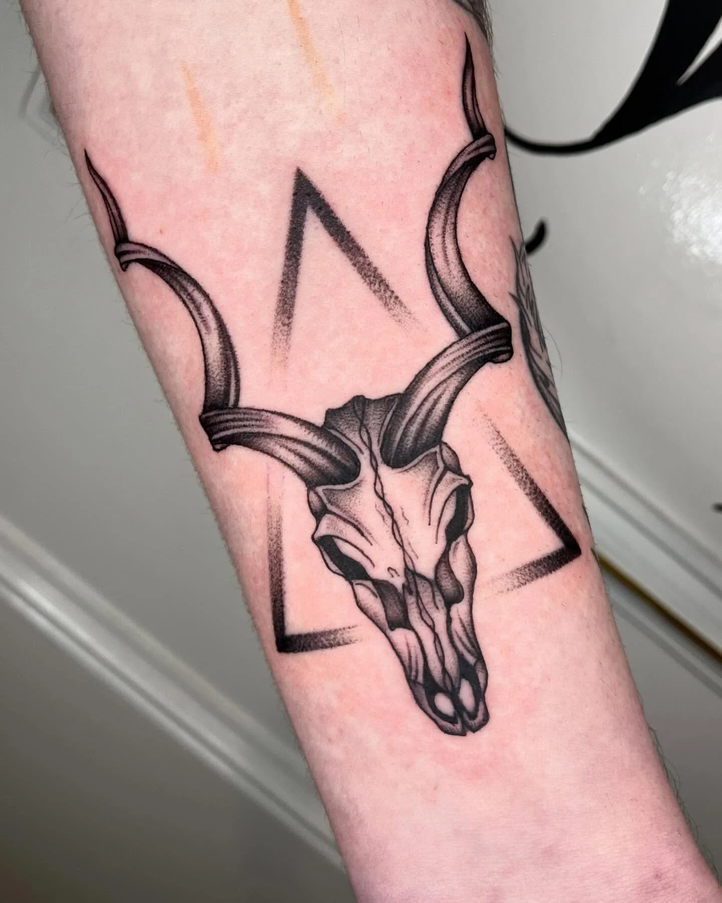 Repost - because you can now swipe for 6 months healed AND a cool centipede we added for @_m.c442 yesterday! 

As always, love doing these mini skulls - make my day if you book in something similar 👀
.
.
.
.
.
.
.
#skulltattoo #stagtattoo #deerskull