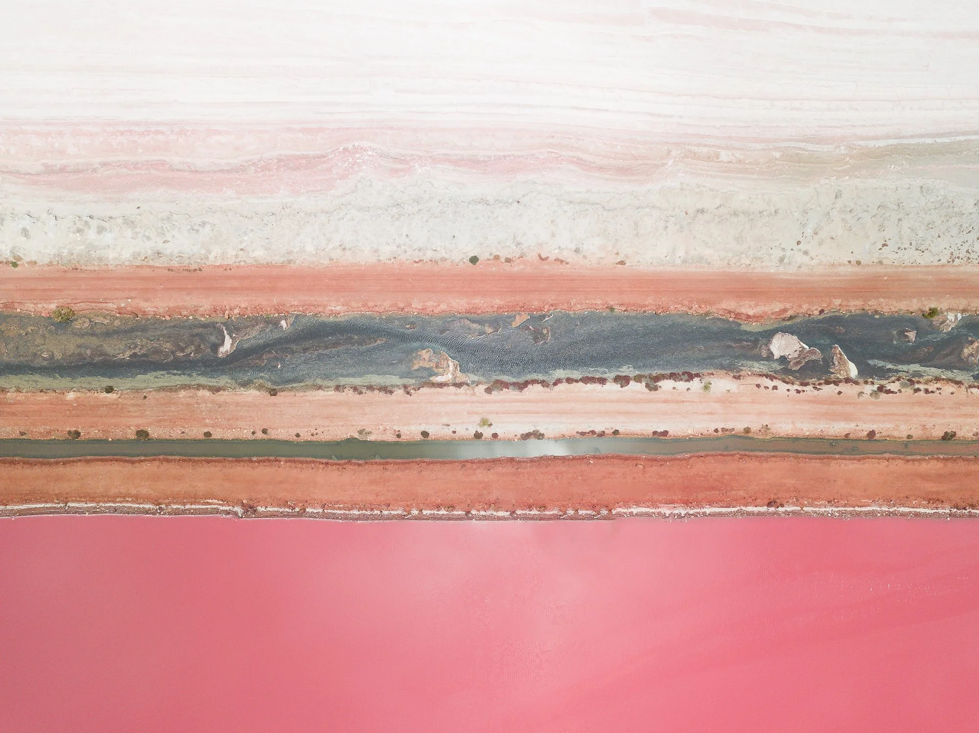 Pink_lake-8.jpg