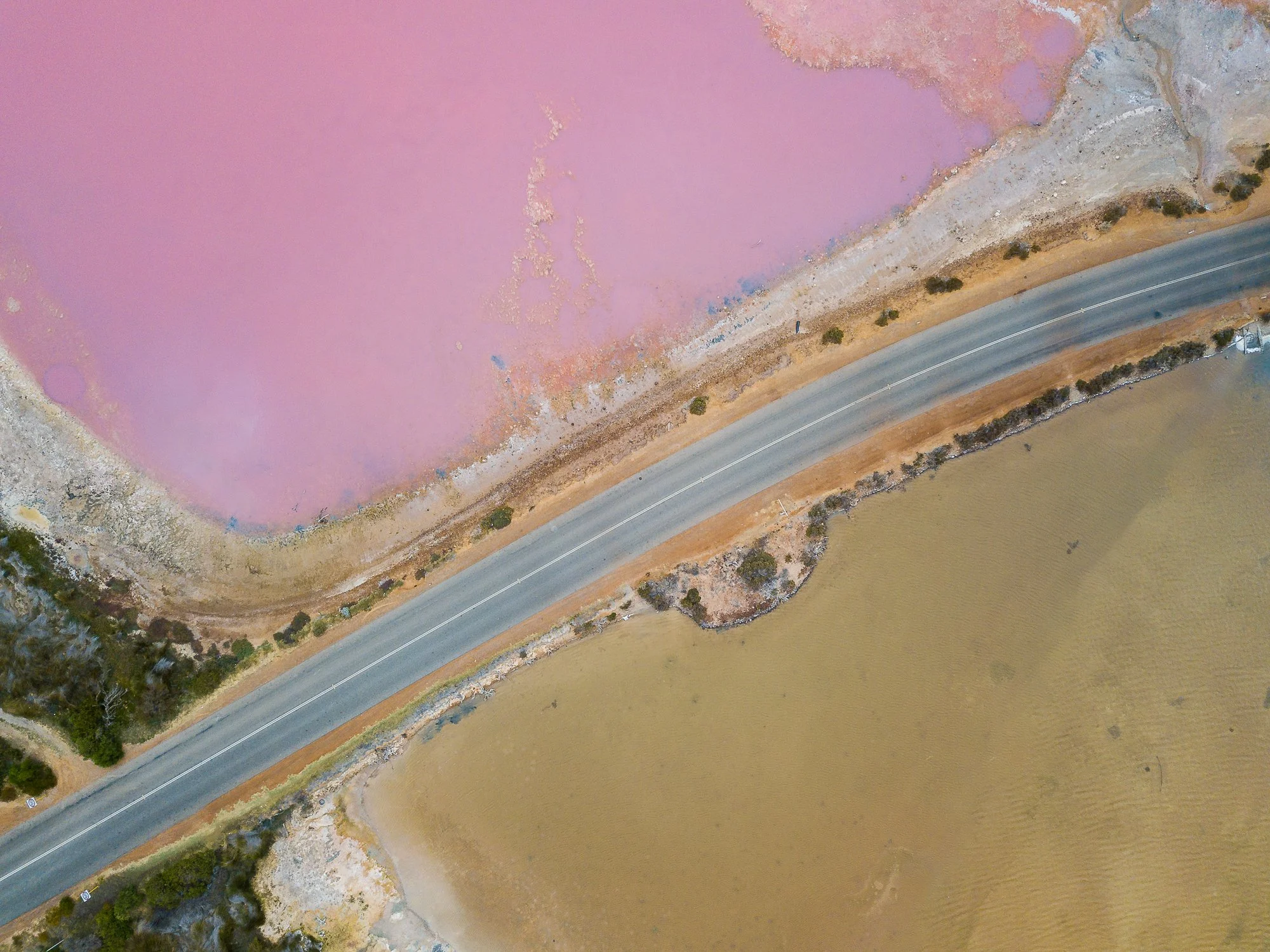 Pink_lake-12.jpg