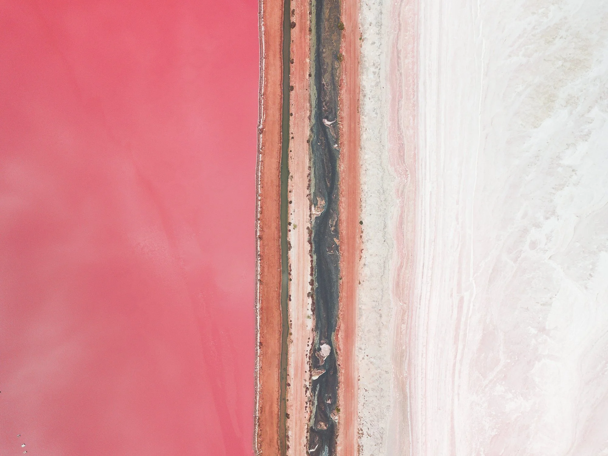Pink_lake-7.jpg