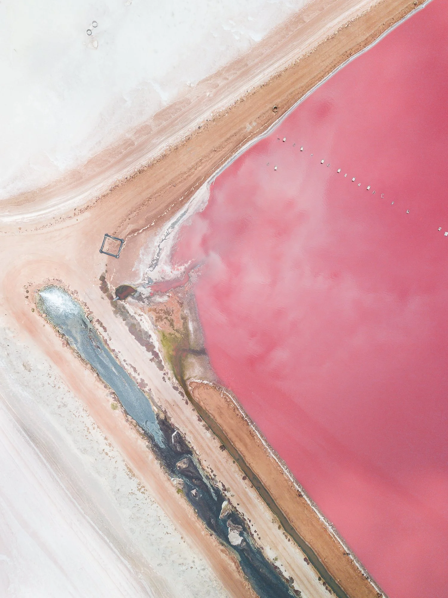 Pink_lake-4.jpg