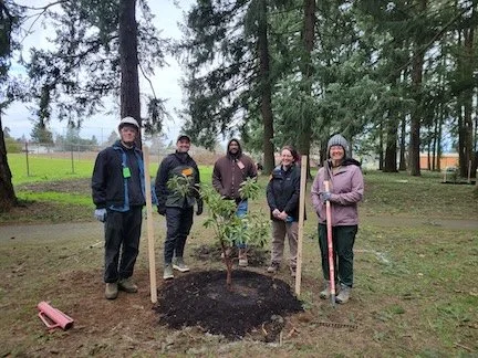 Tree planting in East Portland