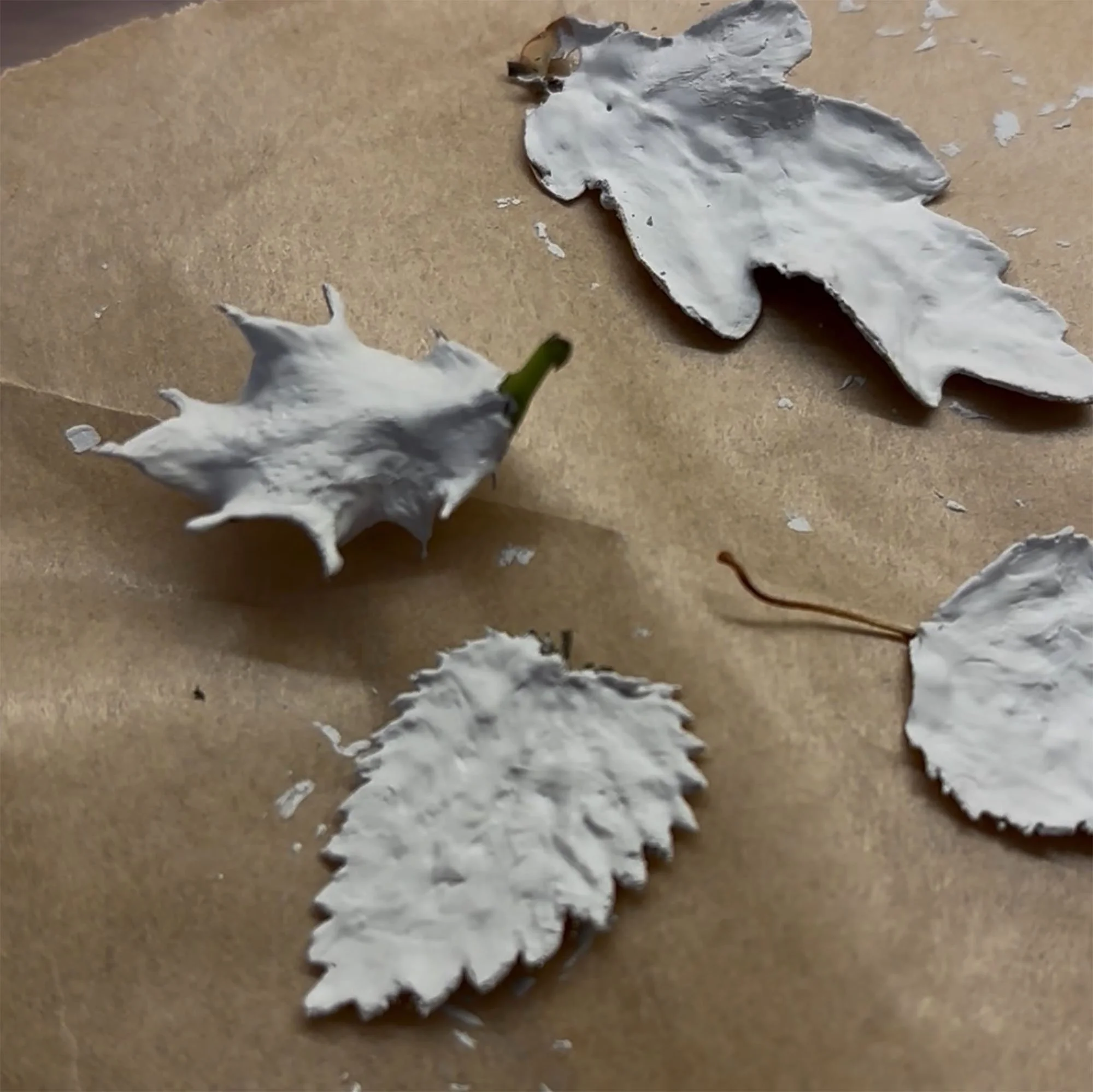 leaves.jpg