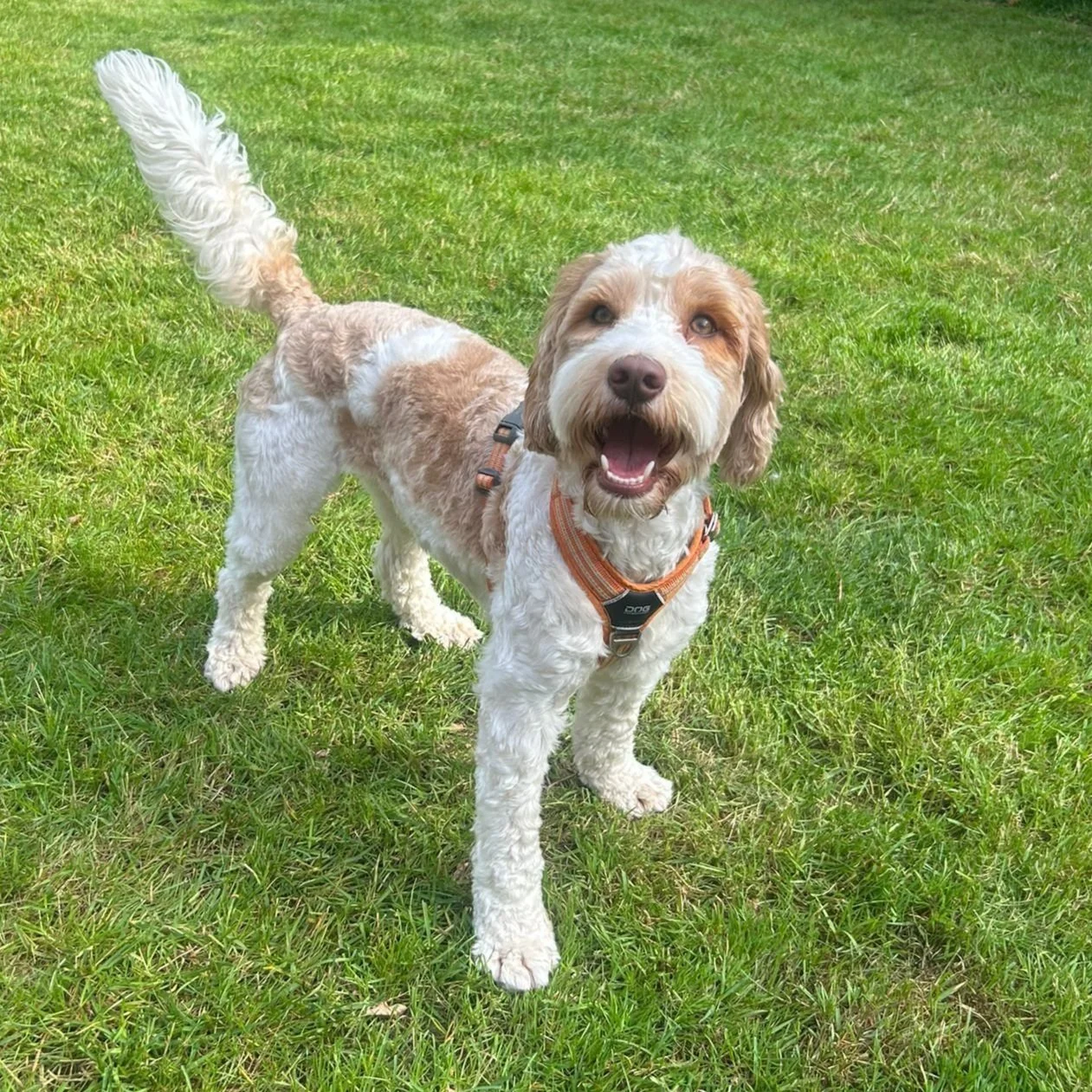 WhatsApp Image 2024-05-11 at 10.57.43.jpg