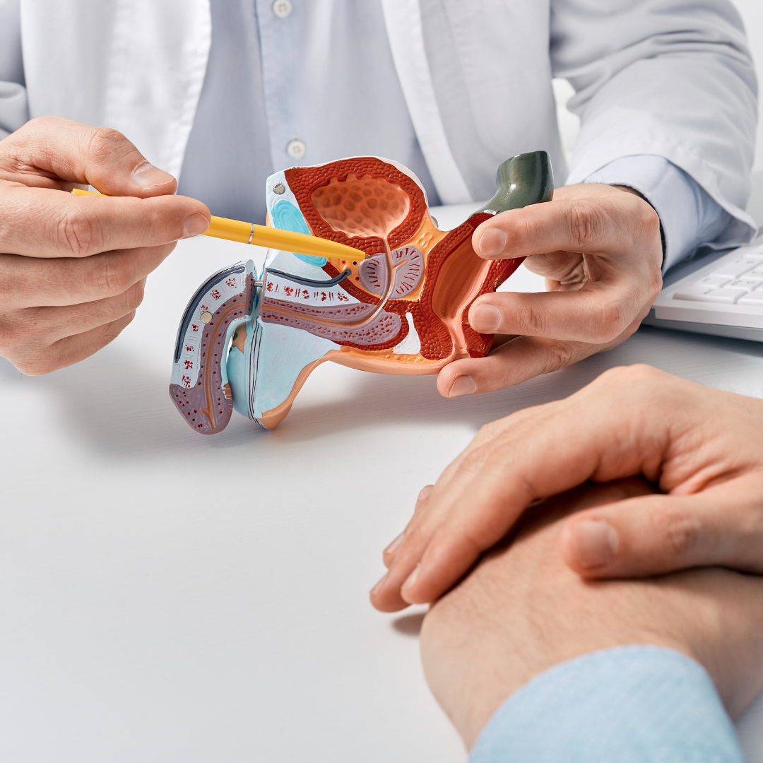 Pelvic Floor Rehab for Prostatectomy 