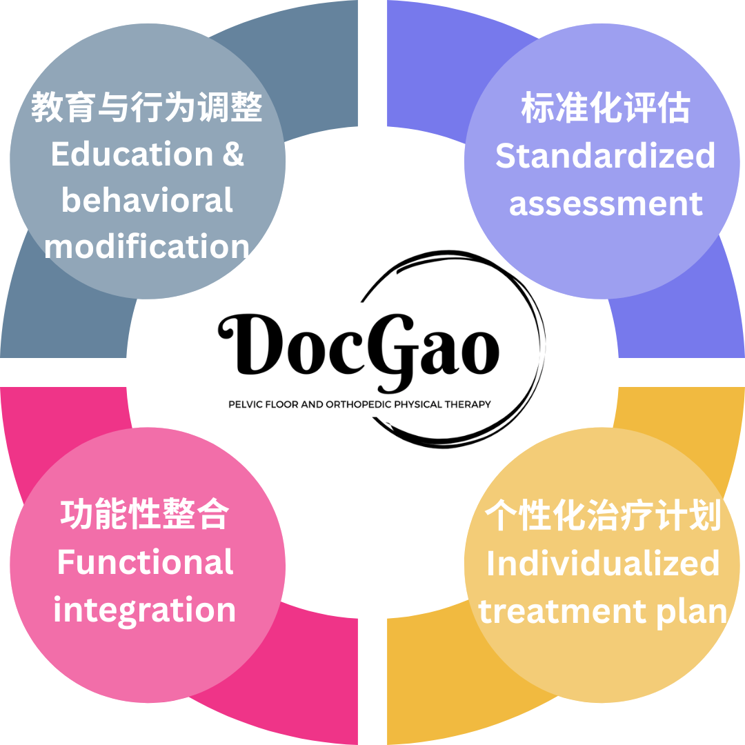 A circular diagram with five colored sections, centered around the logo 'DocGao' with the tagline 'Pelvic Floor and Orthopedic Physical Therapy.' Each section contains text in Chinese and English: Education & Behavioral Modification, Standardized Assessment, Individualized Treatment Plan, Functional Integration, and another section partially visible.