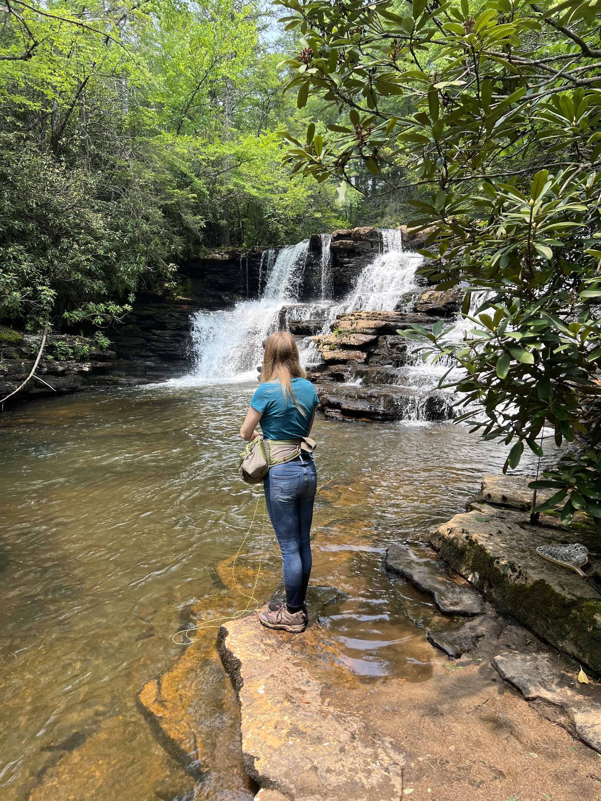 trout fishing in wv.jpeg