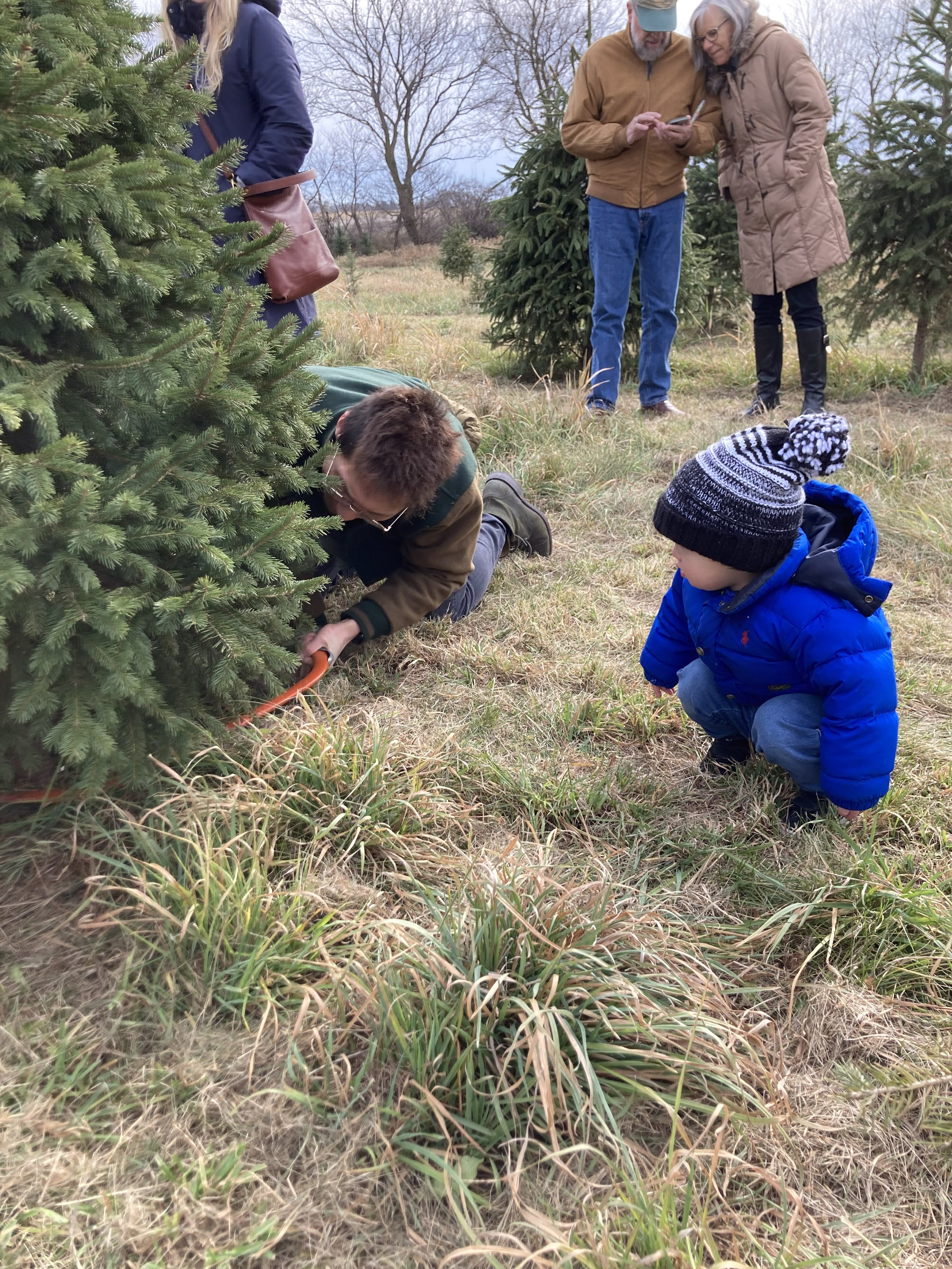 Hunting for a Christmas tree in rural Illinois