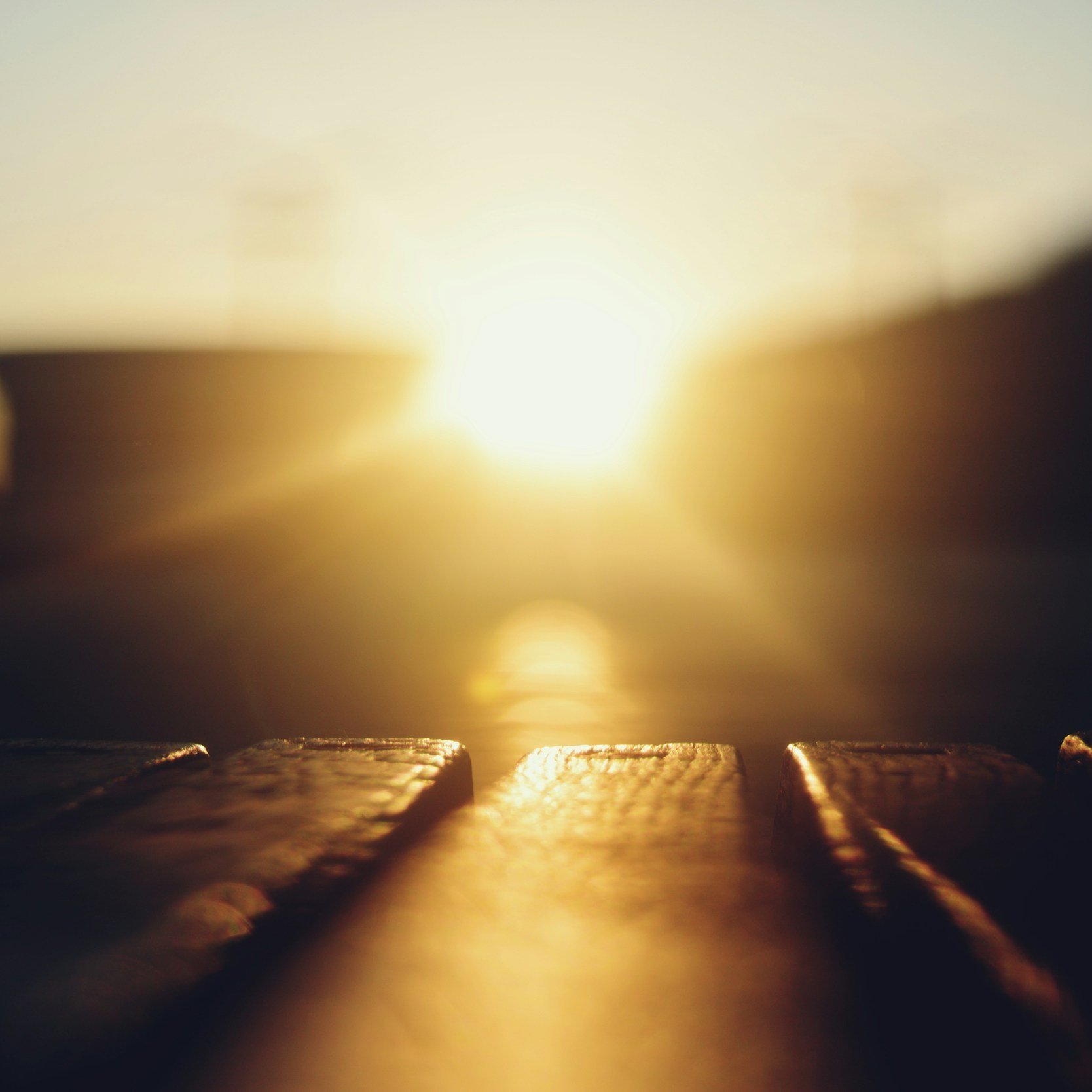Your Sacred Return: The Journey Back to Your Most Juicy, Radiant Self