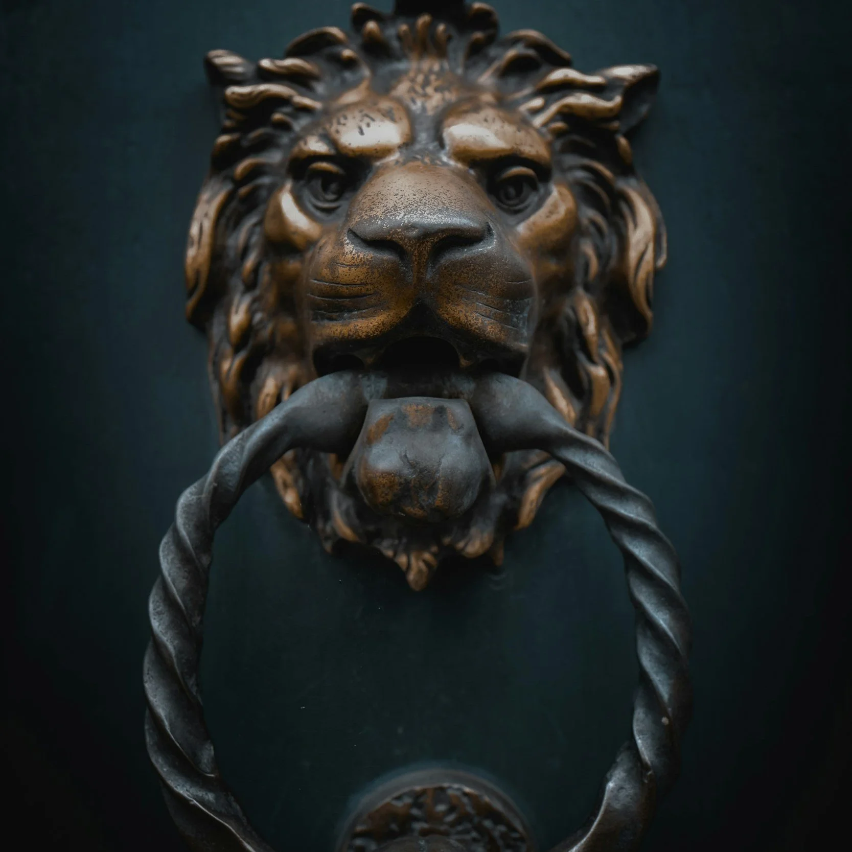 August 8th’s Full Moon + Lion’s Gate Portal: A Cosmic Threshold of Awakening