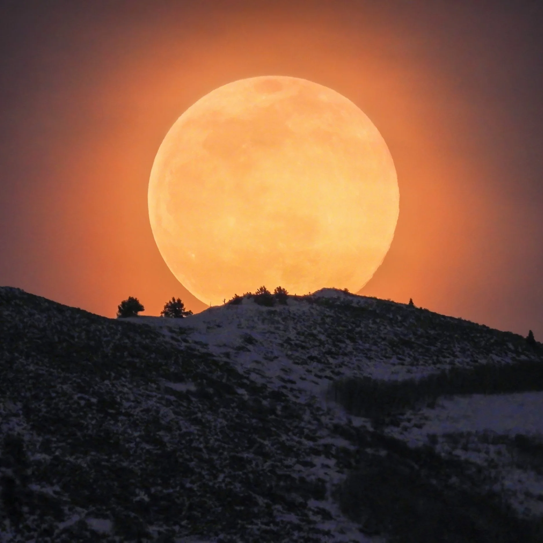Podcast #80 Soul Arcana Illumination & Expansion: Lions Gate Full Moon