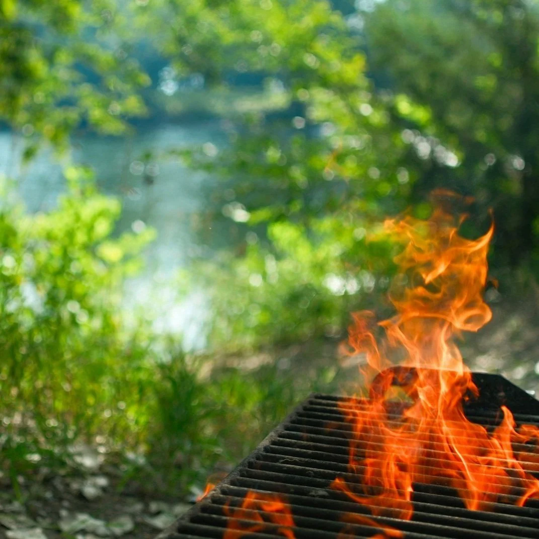 Ayurveda: The Mirror of Nature Within and Around You