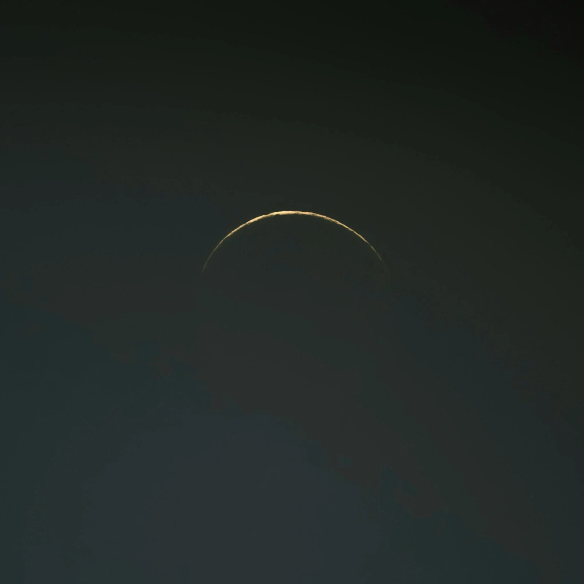 New Moon — November 19, 2025: Composting Season for the Soul