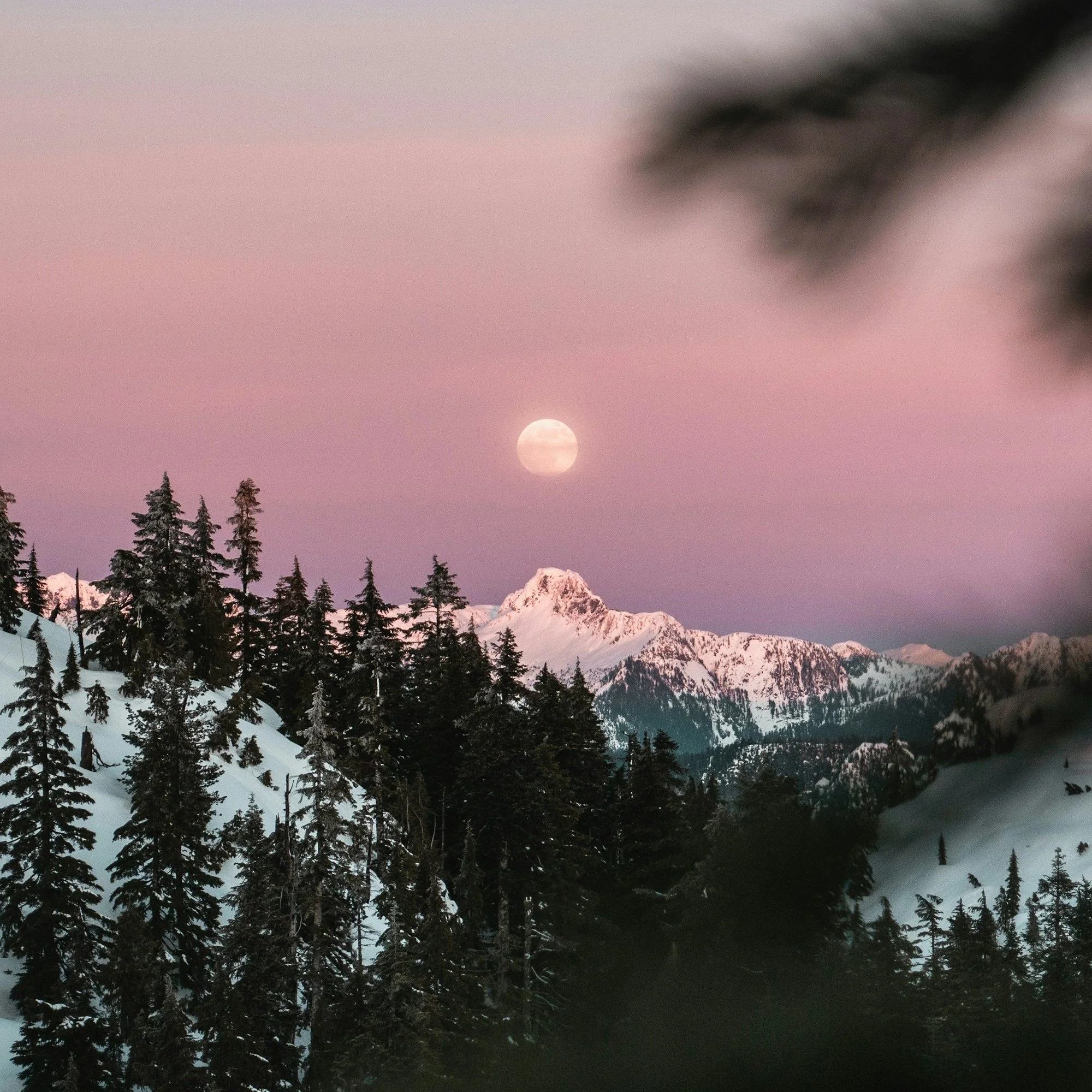 The Final Full Moon of 2025: A Super Cold Moon of Insight &amp; Embodiment