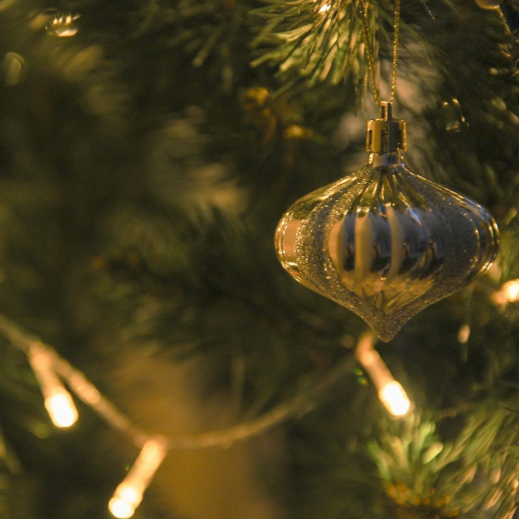 Why Movement, Breathwork, and Meditation Are Essential During the Holidays