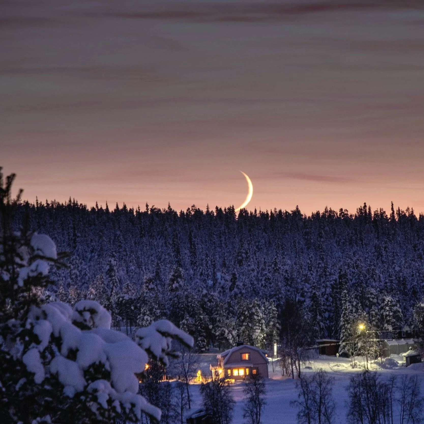 Winter Solstice &amp; the New Moon in Sagittarius: Rooting Into the Dark, Remembering the Light</span>