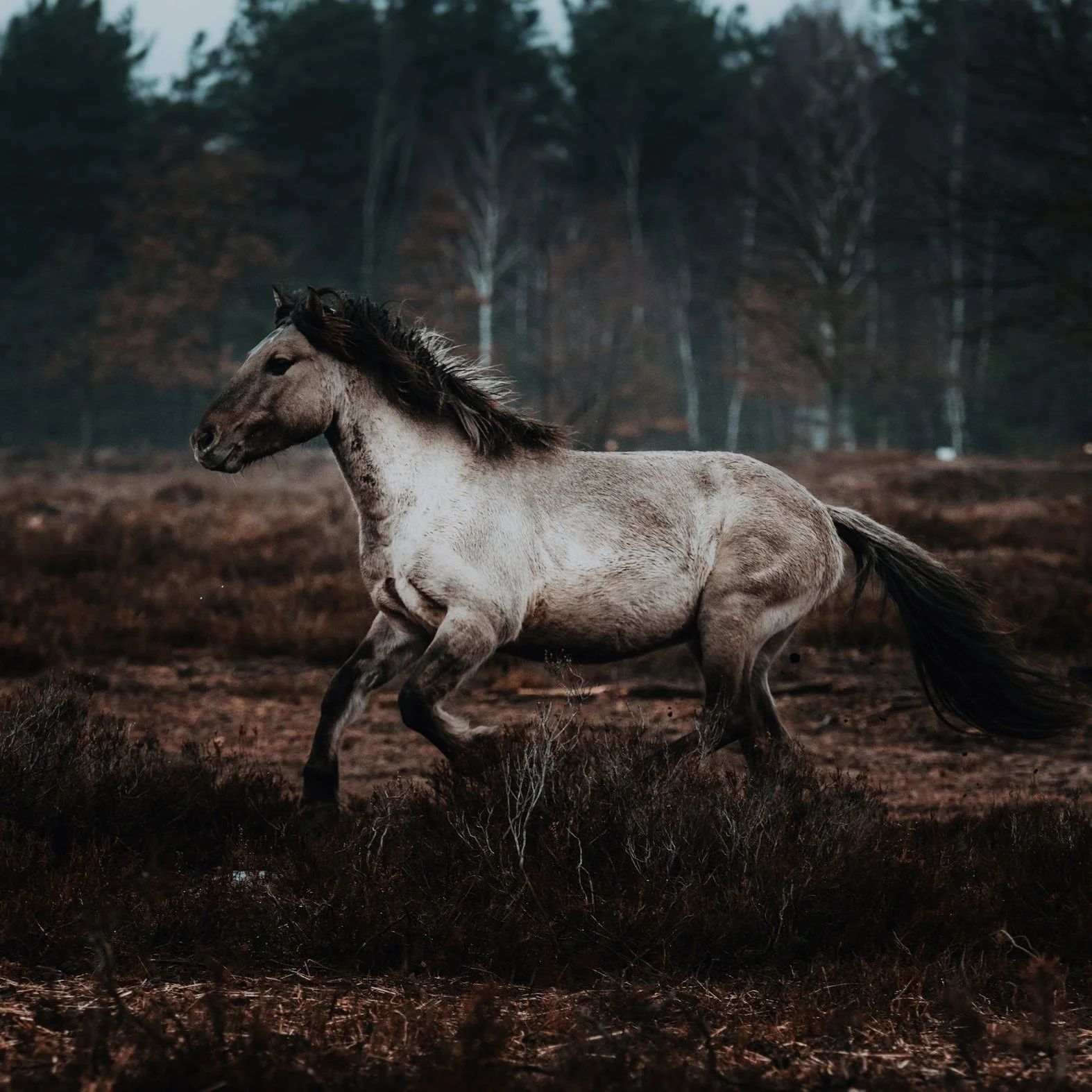 From Shedding to Running: The Practice That Changes Everything