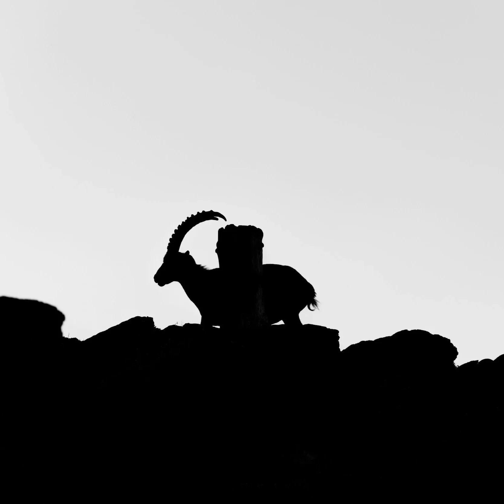 Sunday, January 18: The New Moon as a Sacred Threshold