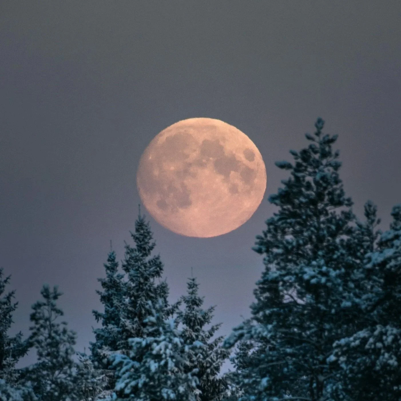 The Full Moon of February 1, 2026