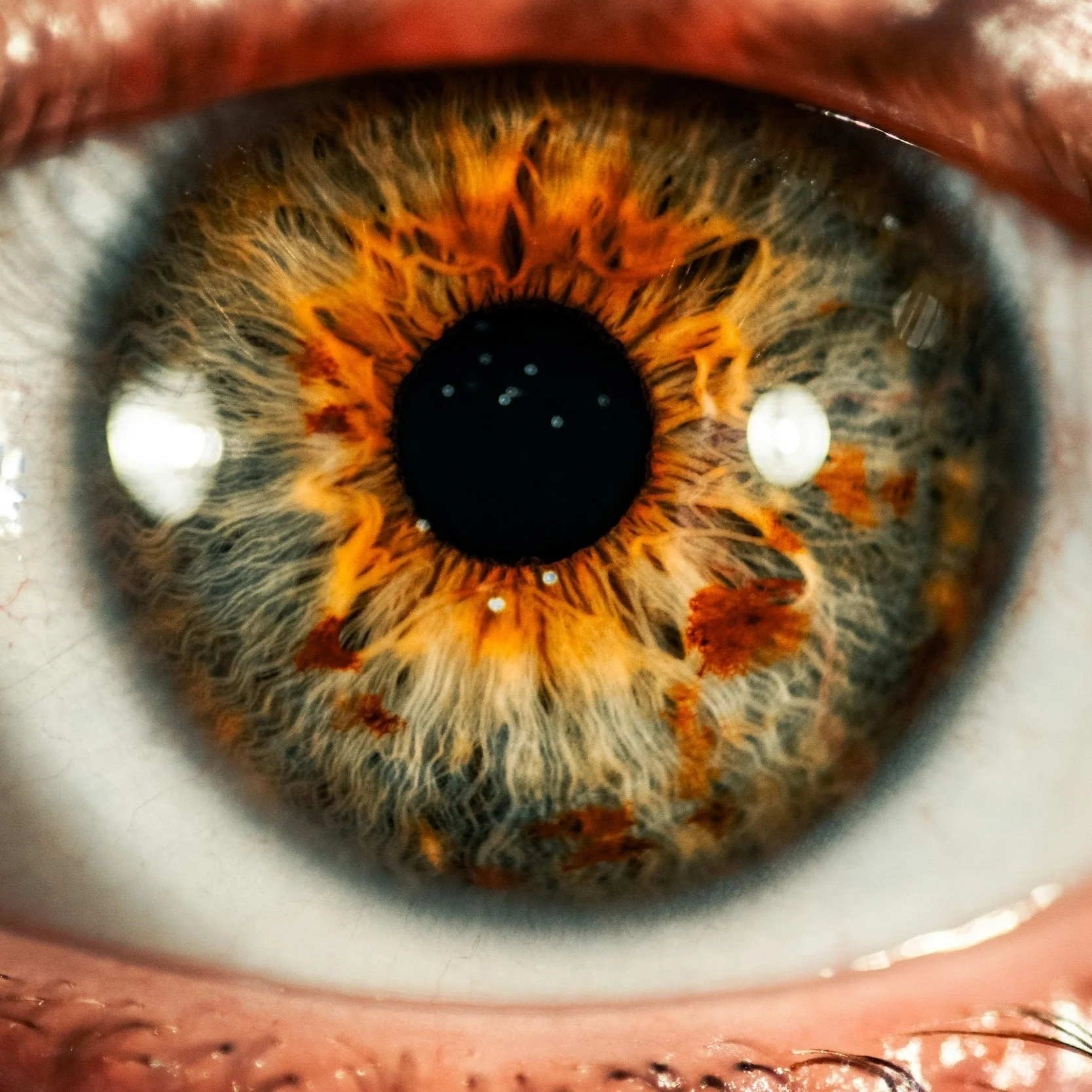 Ayurvedic Eye Care: The Ancient Ritual Your Eyes Are Craving