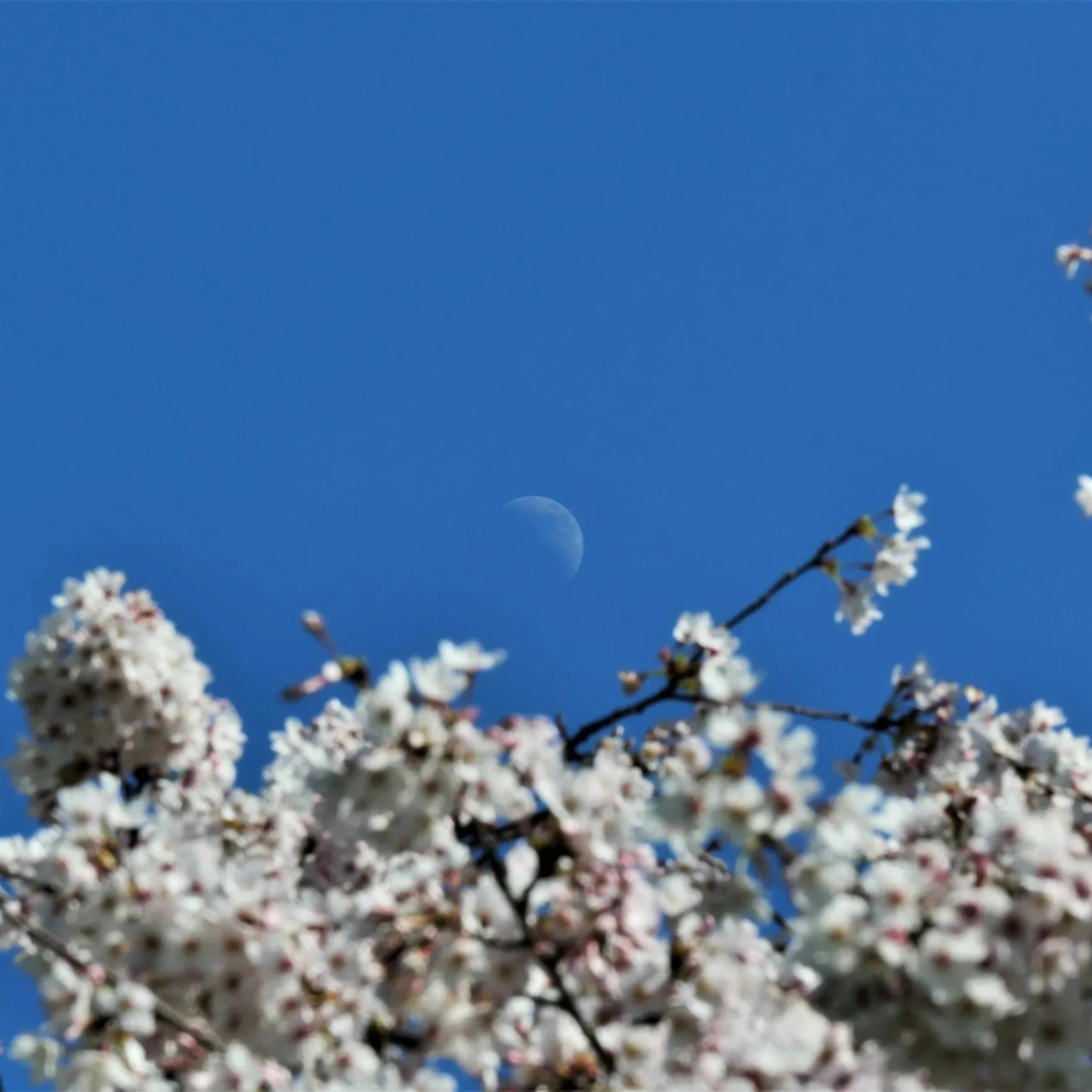 The Pisces New Moon: A Threshold Between Worlds