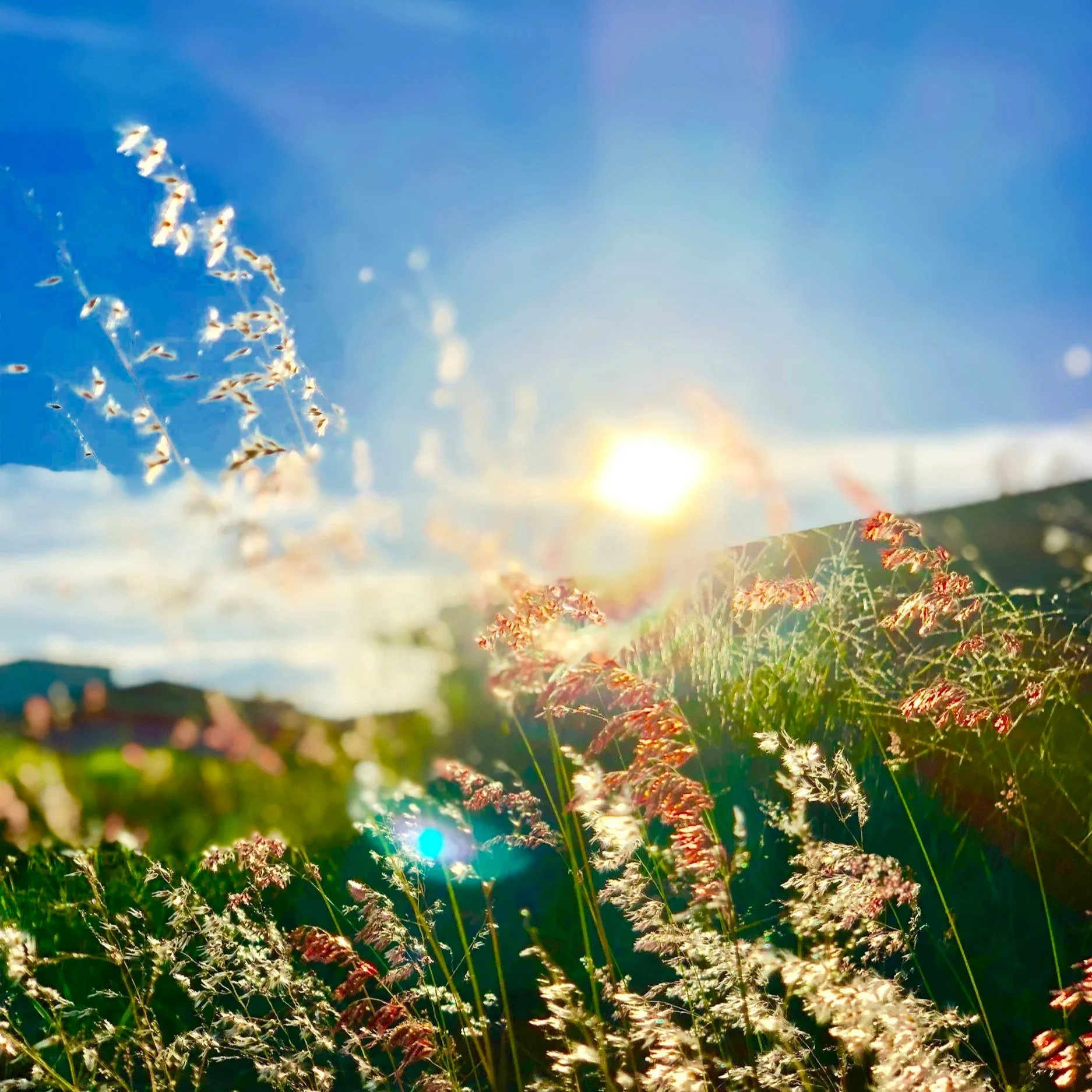 Spring Equinox: The Sacred Threshold of Balance &amp; Becoming