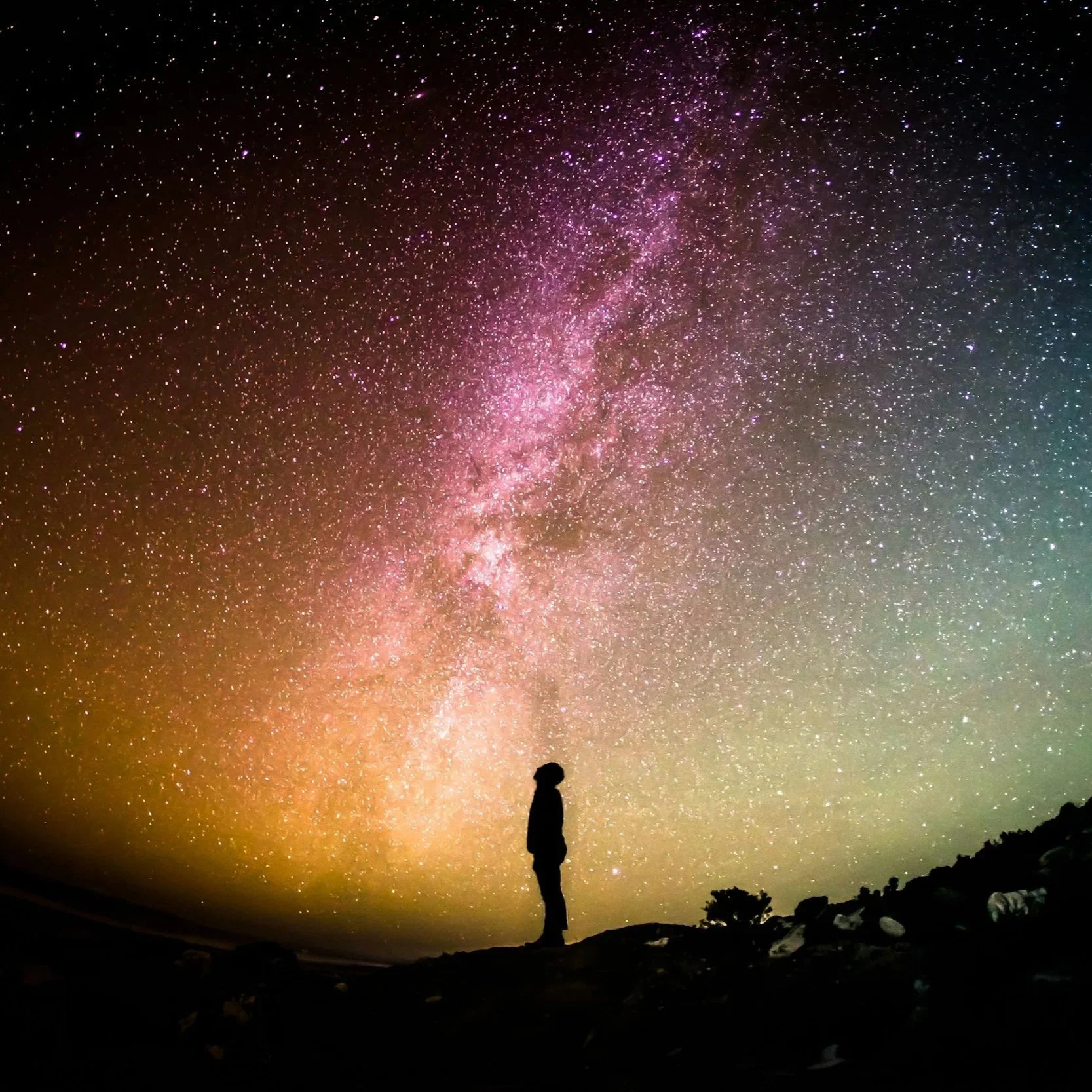 Are You a Mini Universe? Exploring the Hidden Link Between Mind, Body, and Cosmos