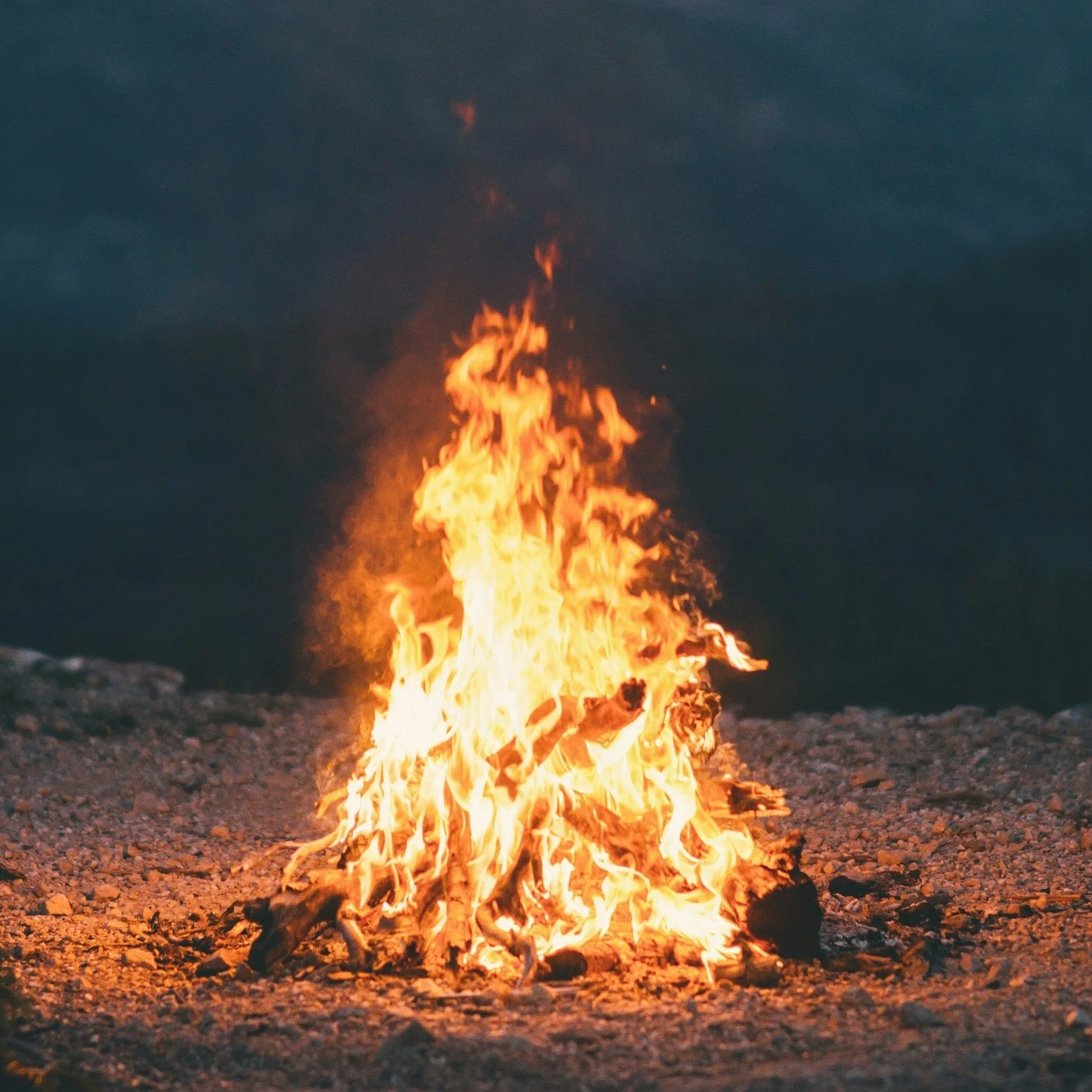 The Sacred Fire Within: Agni, Pitta, and the Art of Inner Digestion