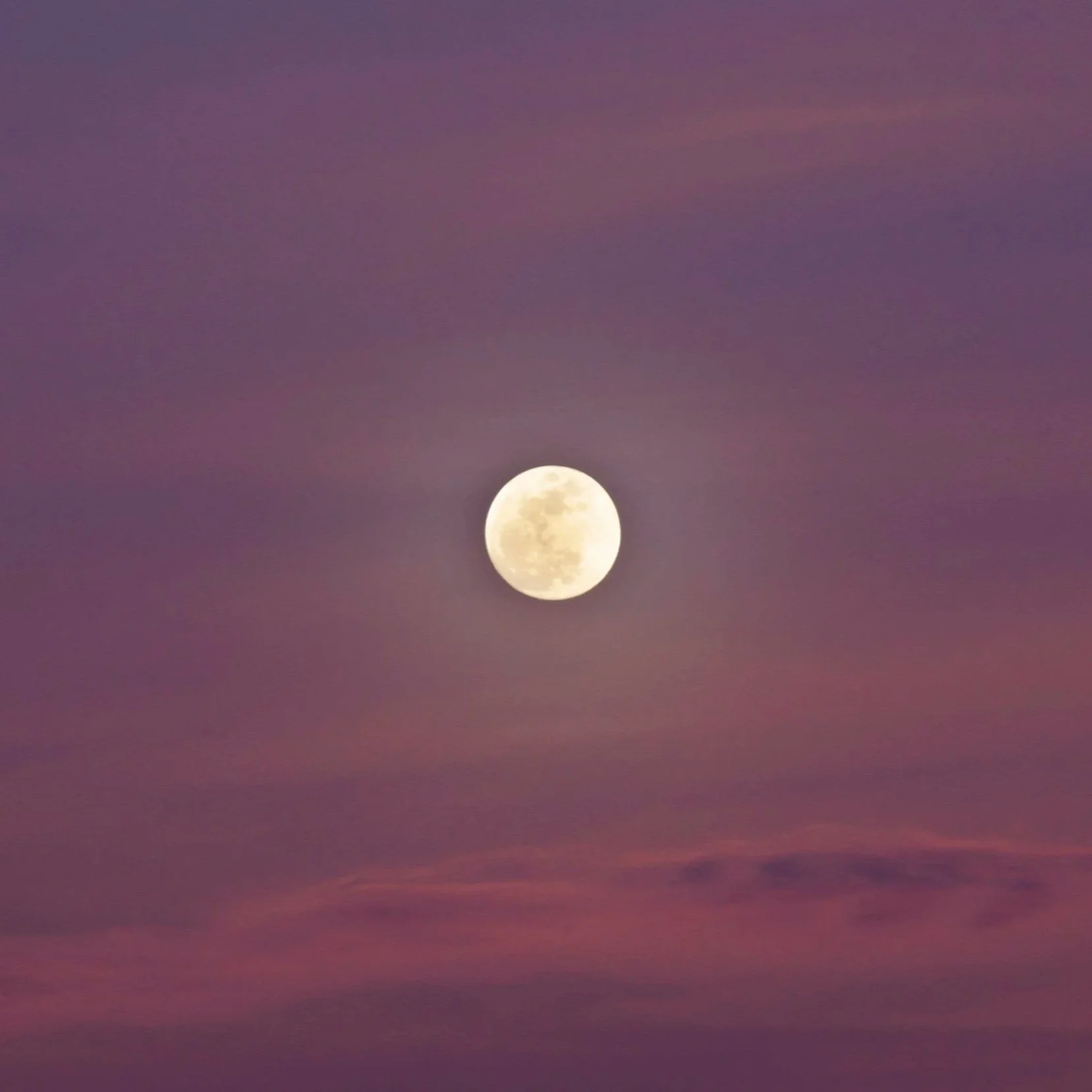 The Full Moon of June 29, 2026: The Roots That Set You Free