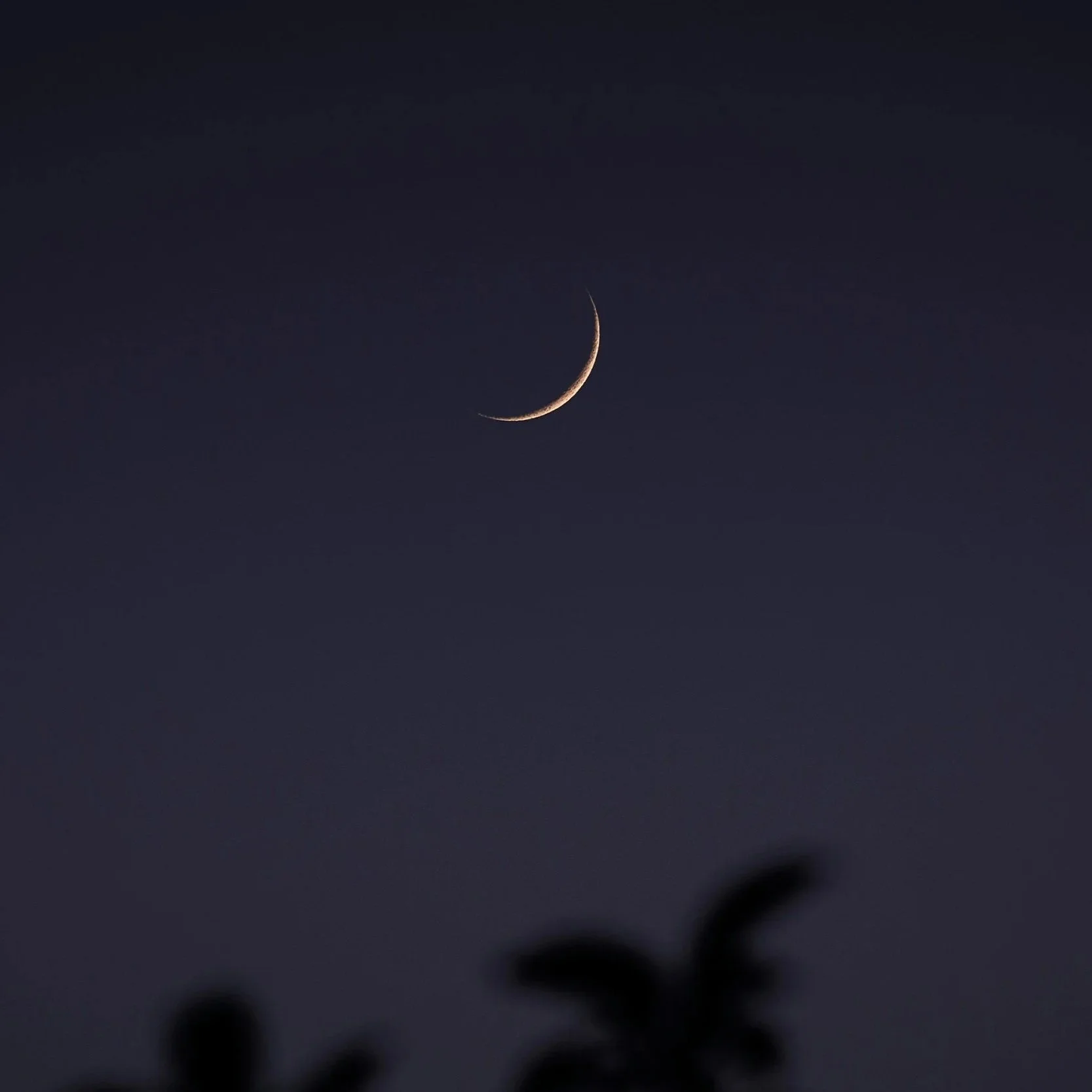 September 2026 New Moon: Sacred Refinement, Embodied Pleasure + the Courage to Begin Again