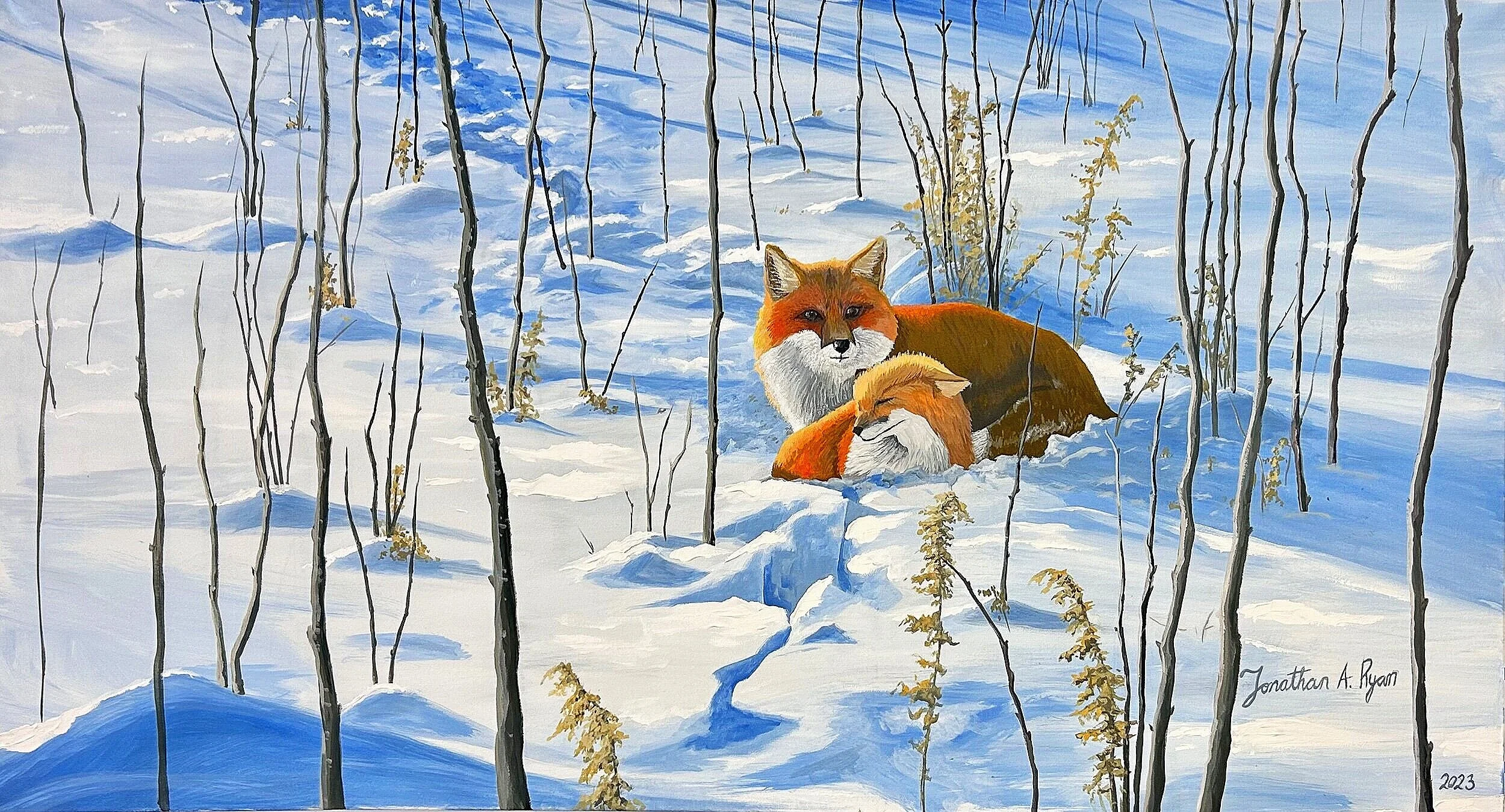 720192BE-BF16-4A70-8544-C5147C44D10F