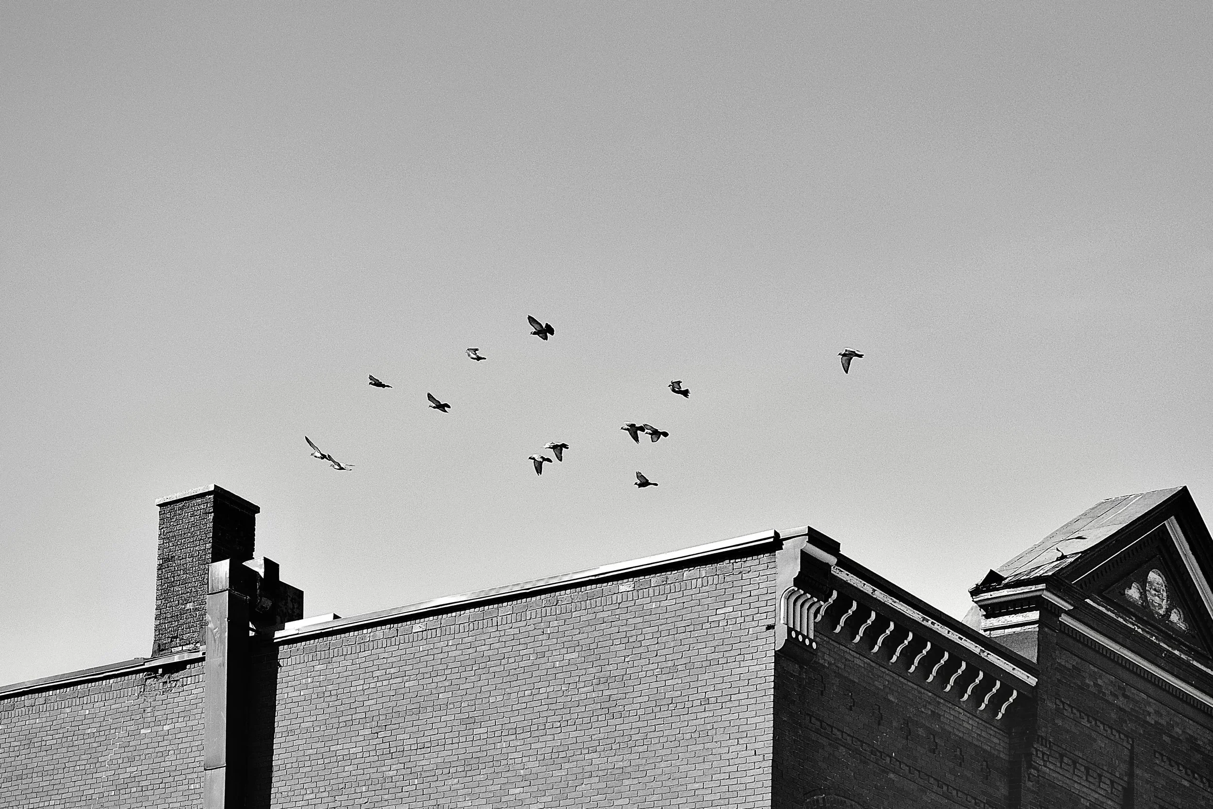 _DSC0137.jpg