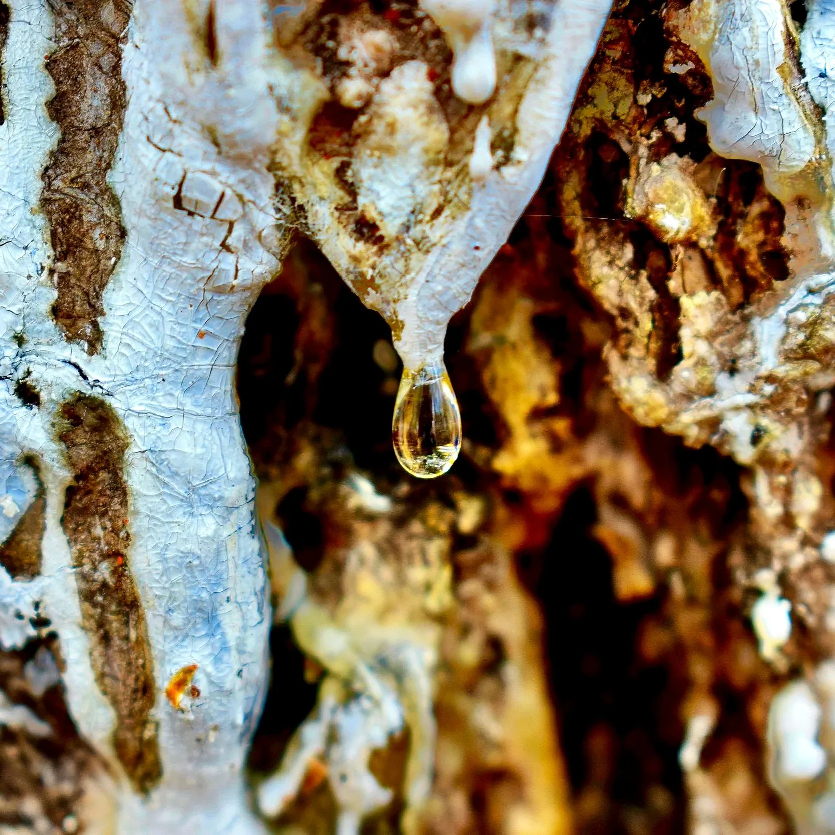 _DSC0841.jpg