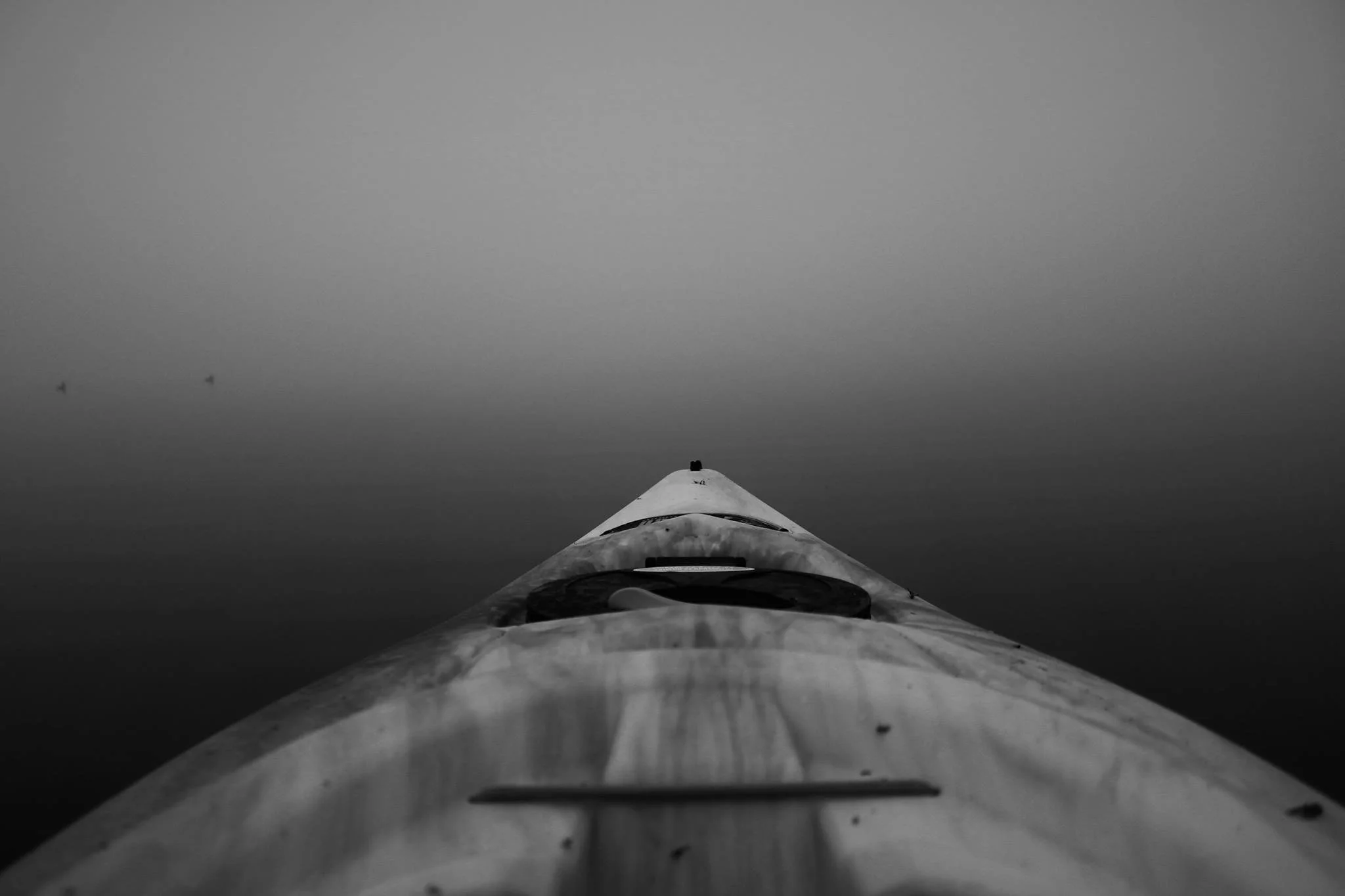 IMG_2782.jpeg