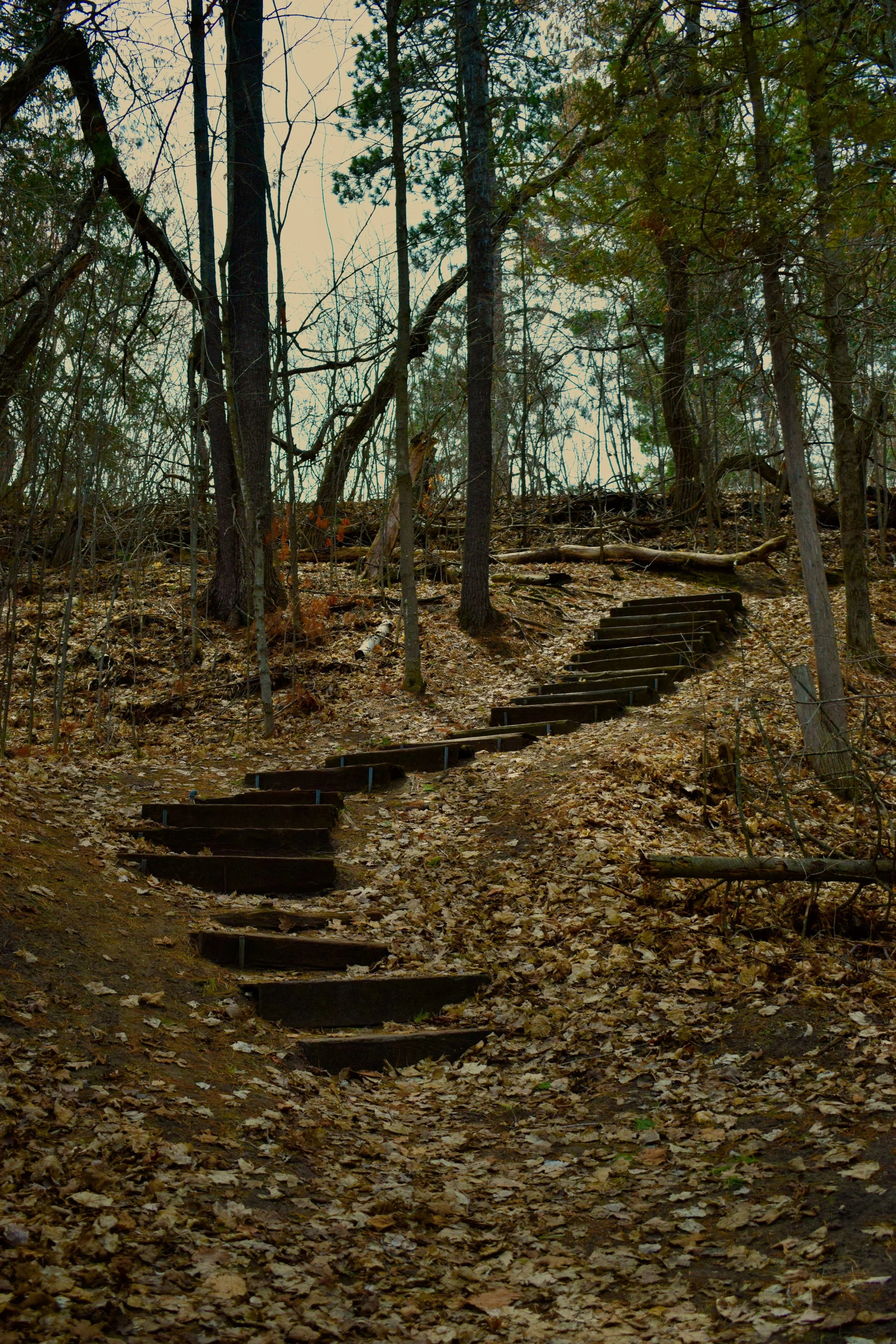 _DSC0821.jpeg