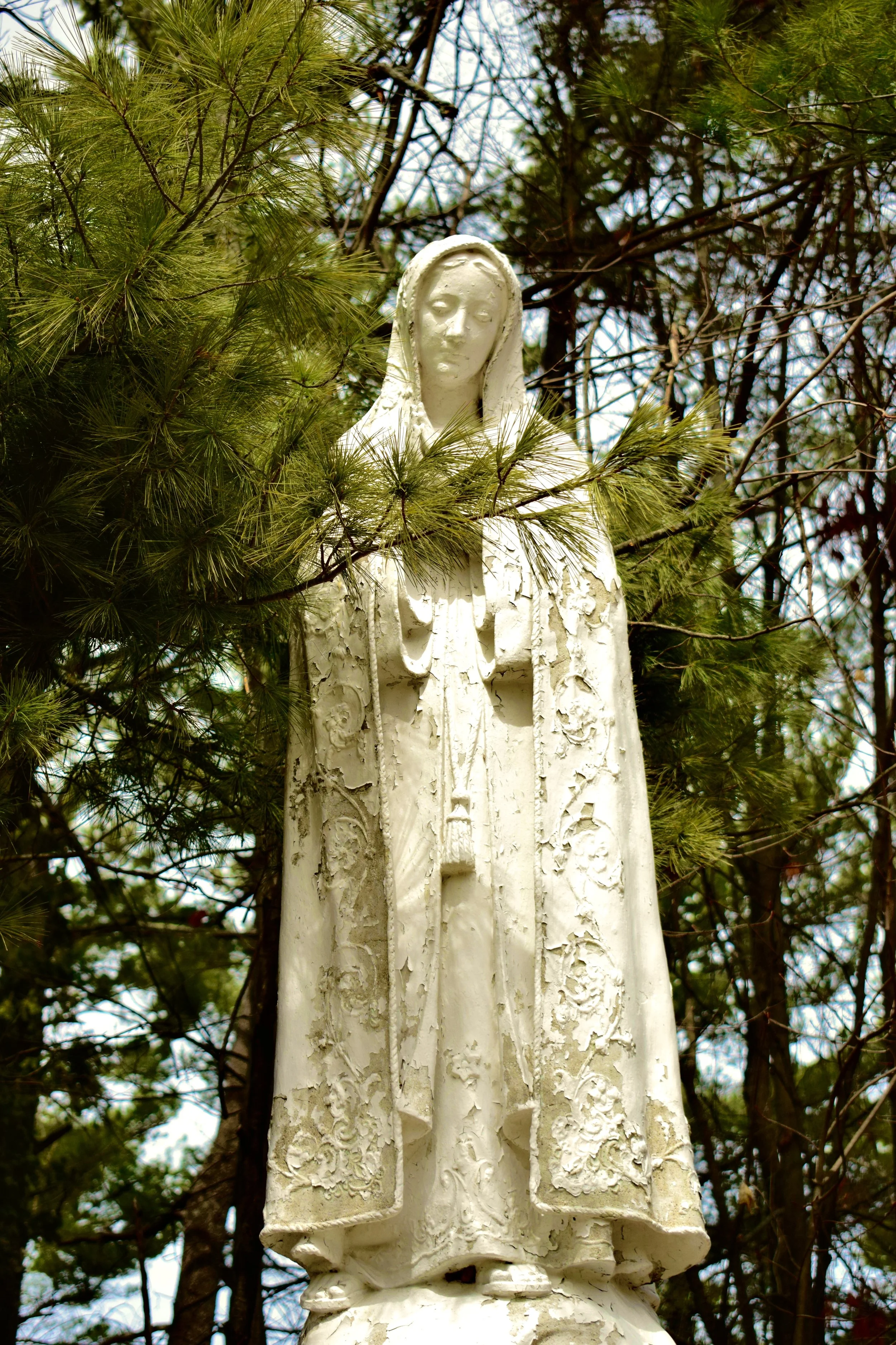 _DSC0827.jpeg