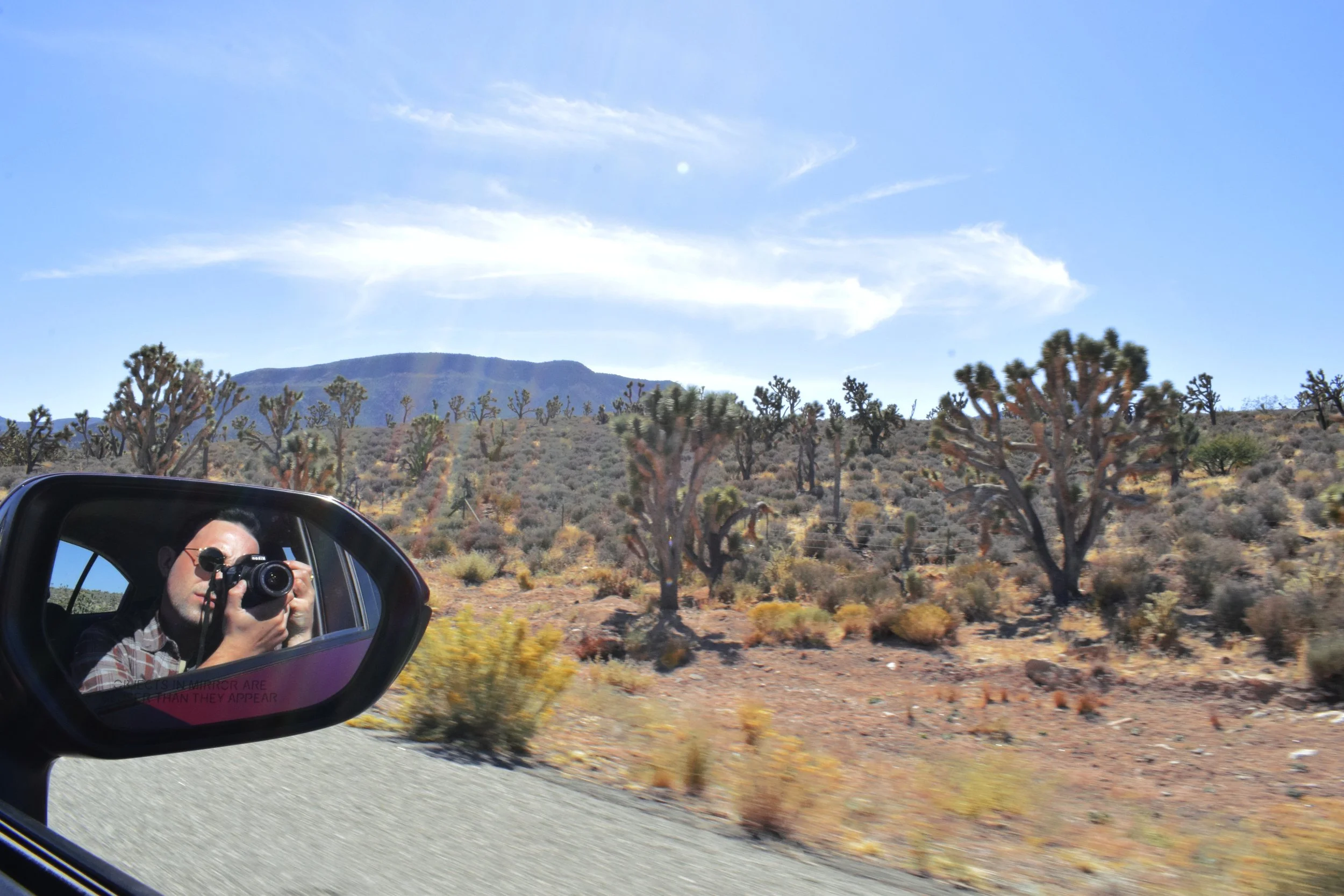 _DSC0246.jpeg