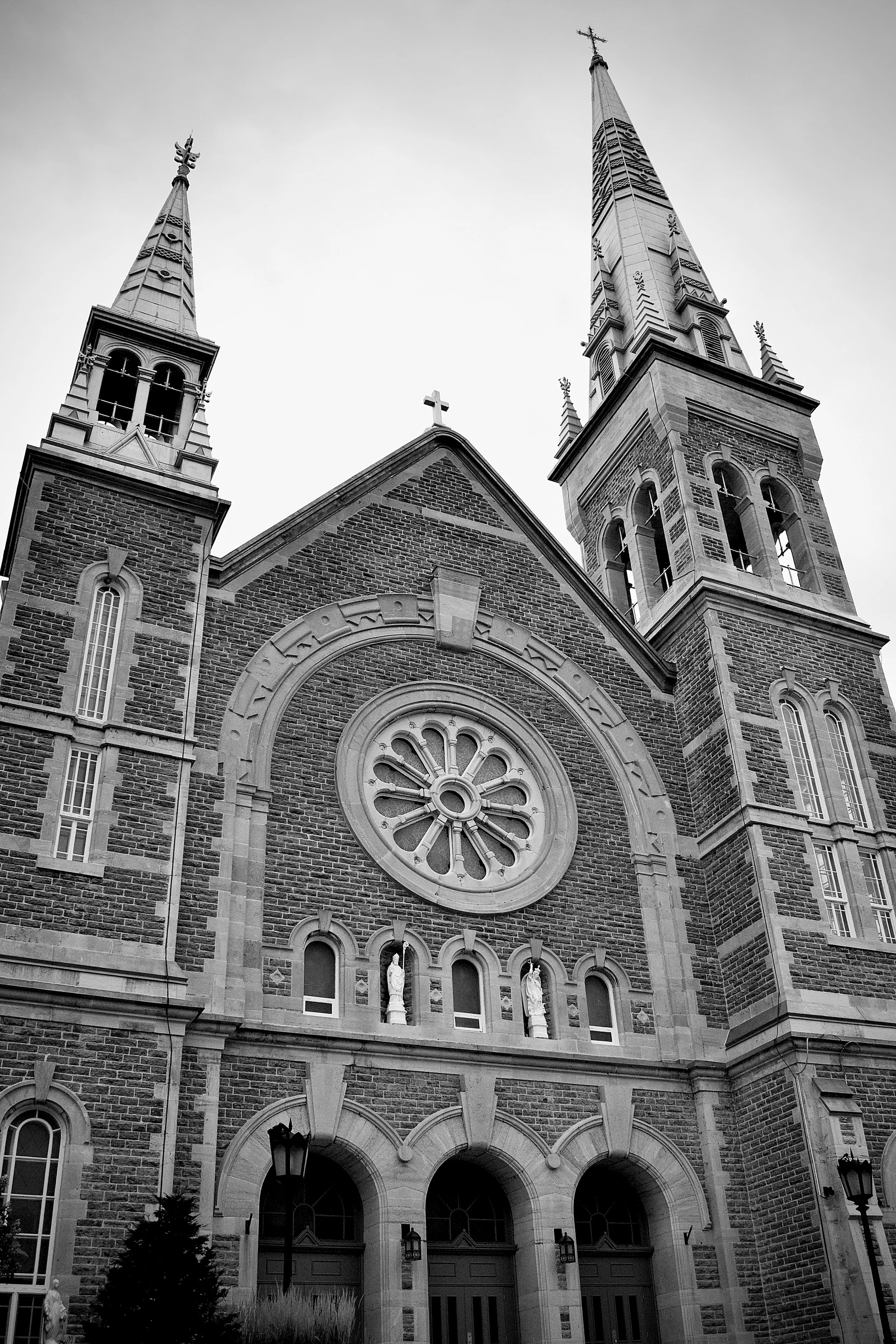 _DSC0704.jpeg