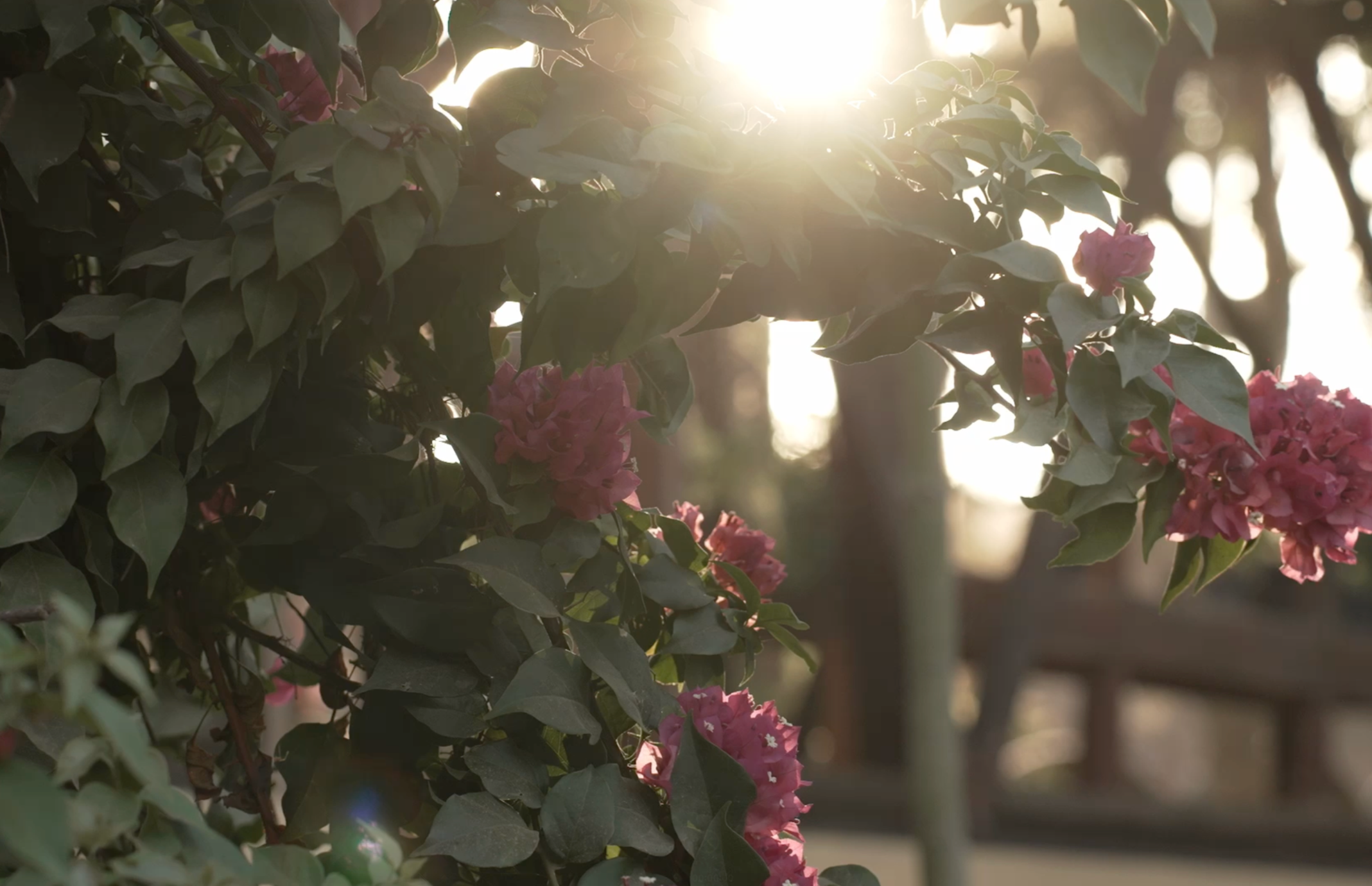 REPORTAGE DI VIAGGIO