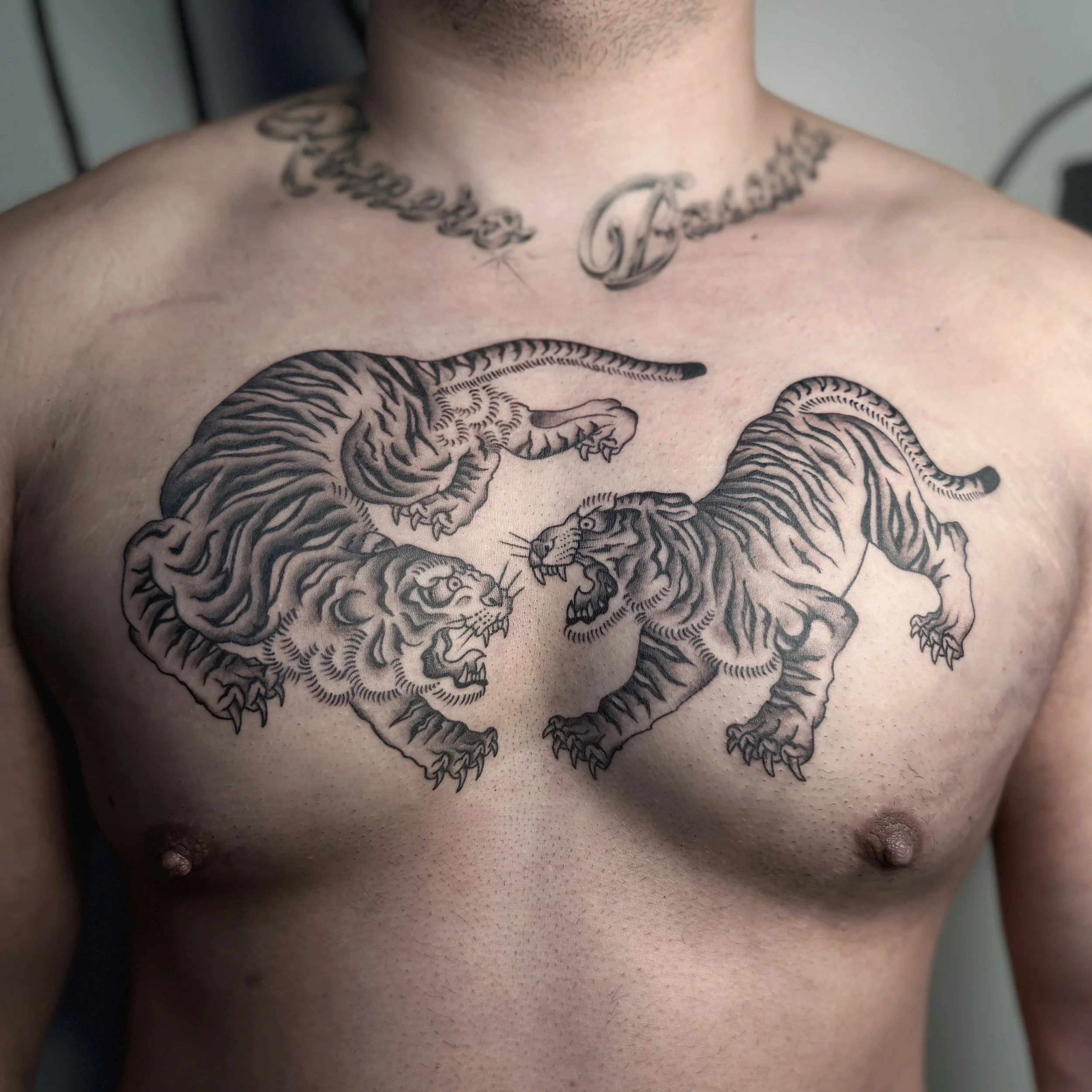 Tiger Chest Piece for Dan