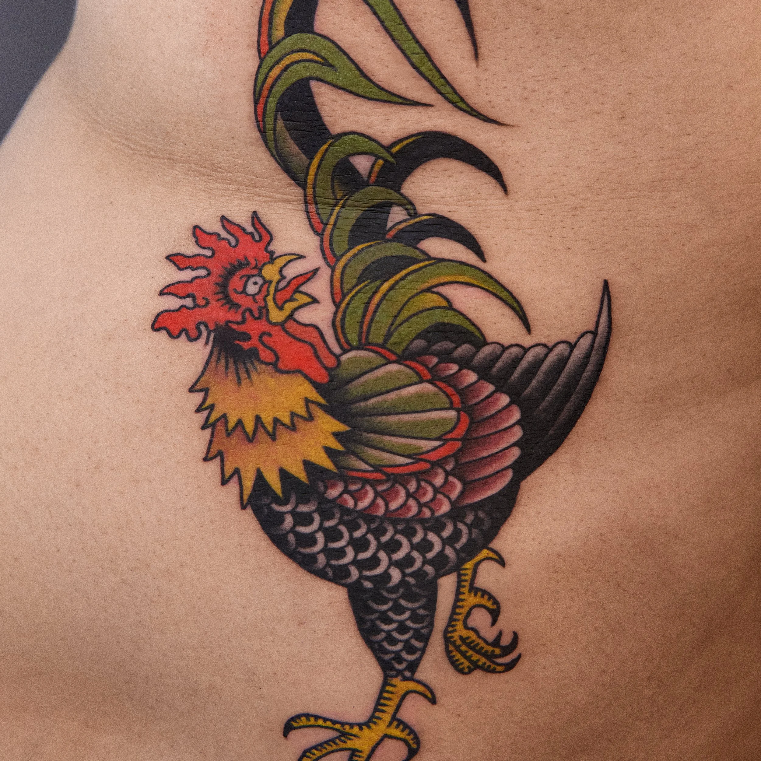 Traditional Color Rooster