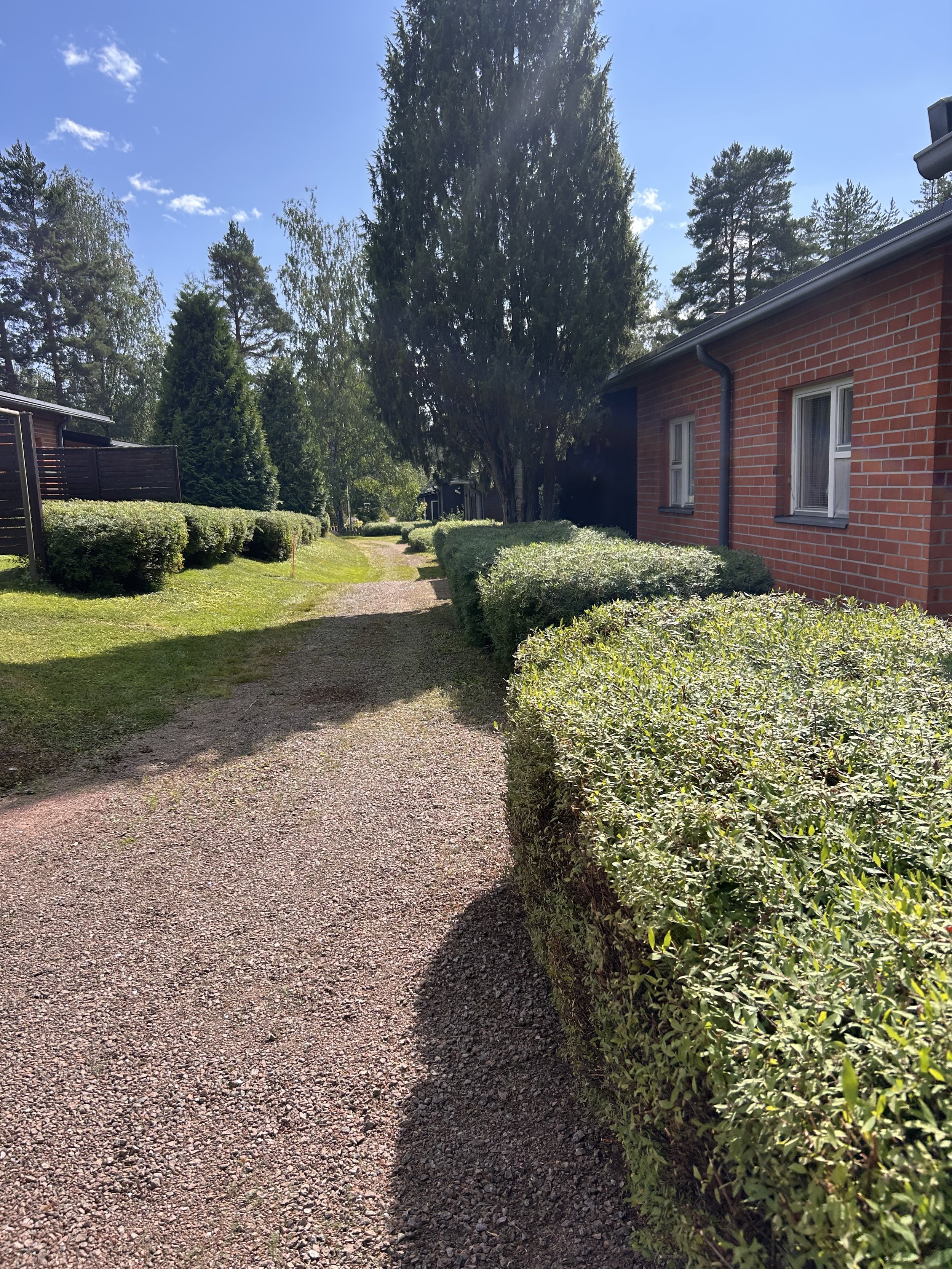 Kuvassa on kivetynevä kertakäytävä ja pensasaita, jonka vieressä on punainen tiilitalo ja paljon puita. Taivas on selkeä ja aurinkoinen.