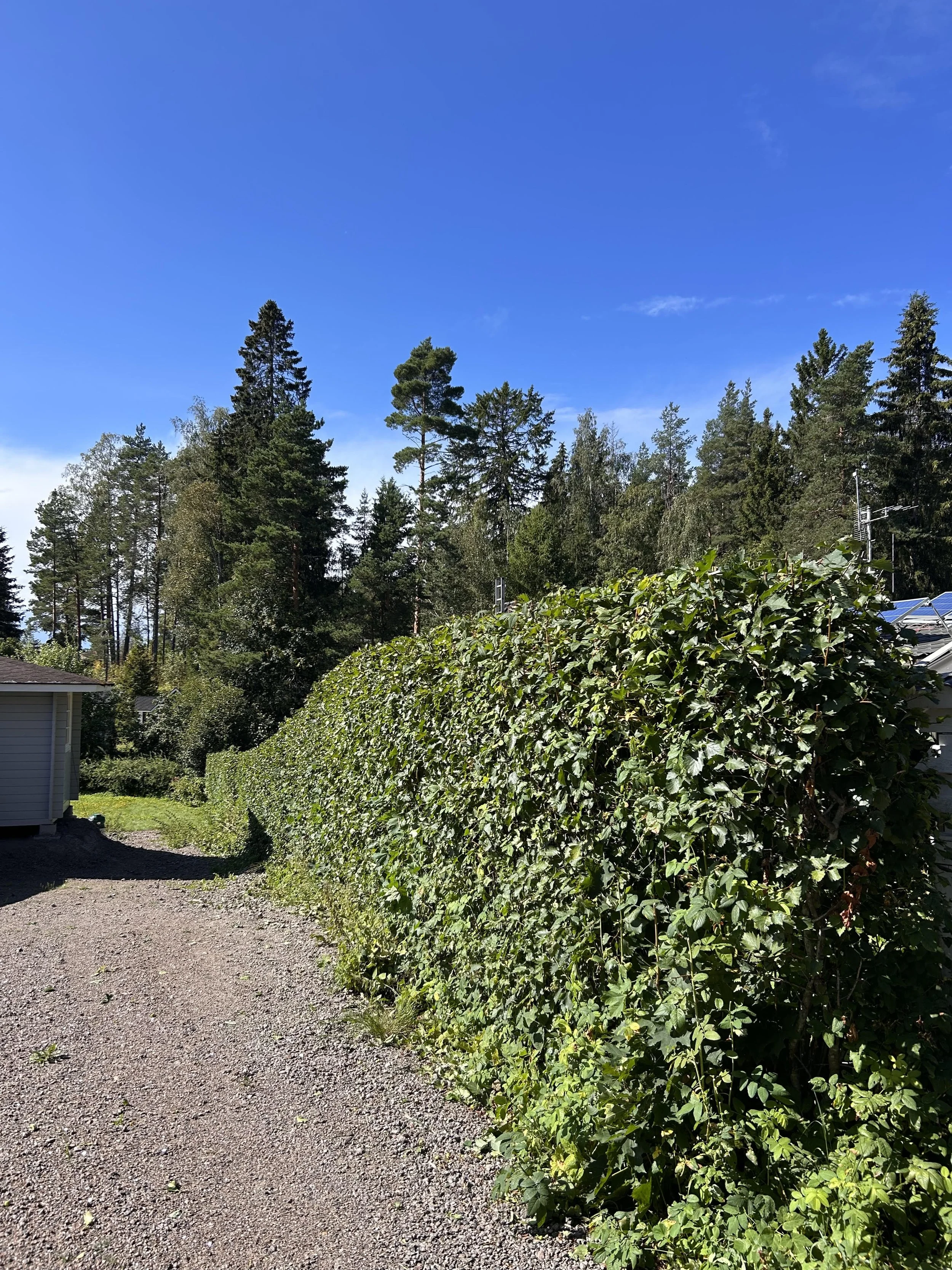 Talonäkymä aidasta ja huvimajasta, taustalla vuoristomaisemaa ja sininen taivas.