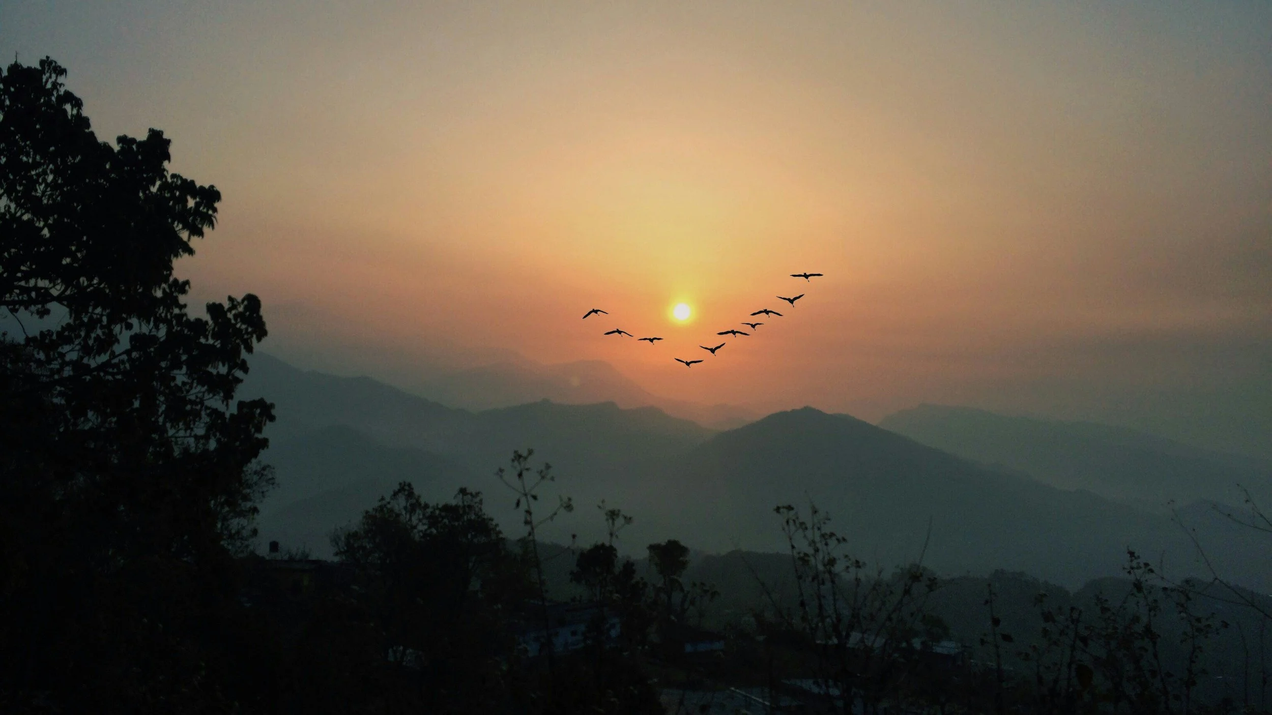 Silhouette of mountains and trees at sunset with birds flying in the sky.
