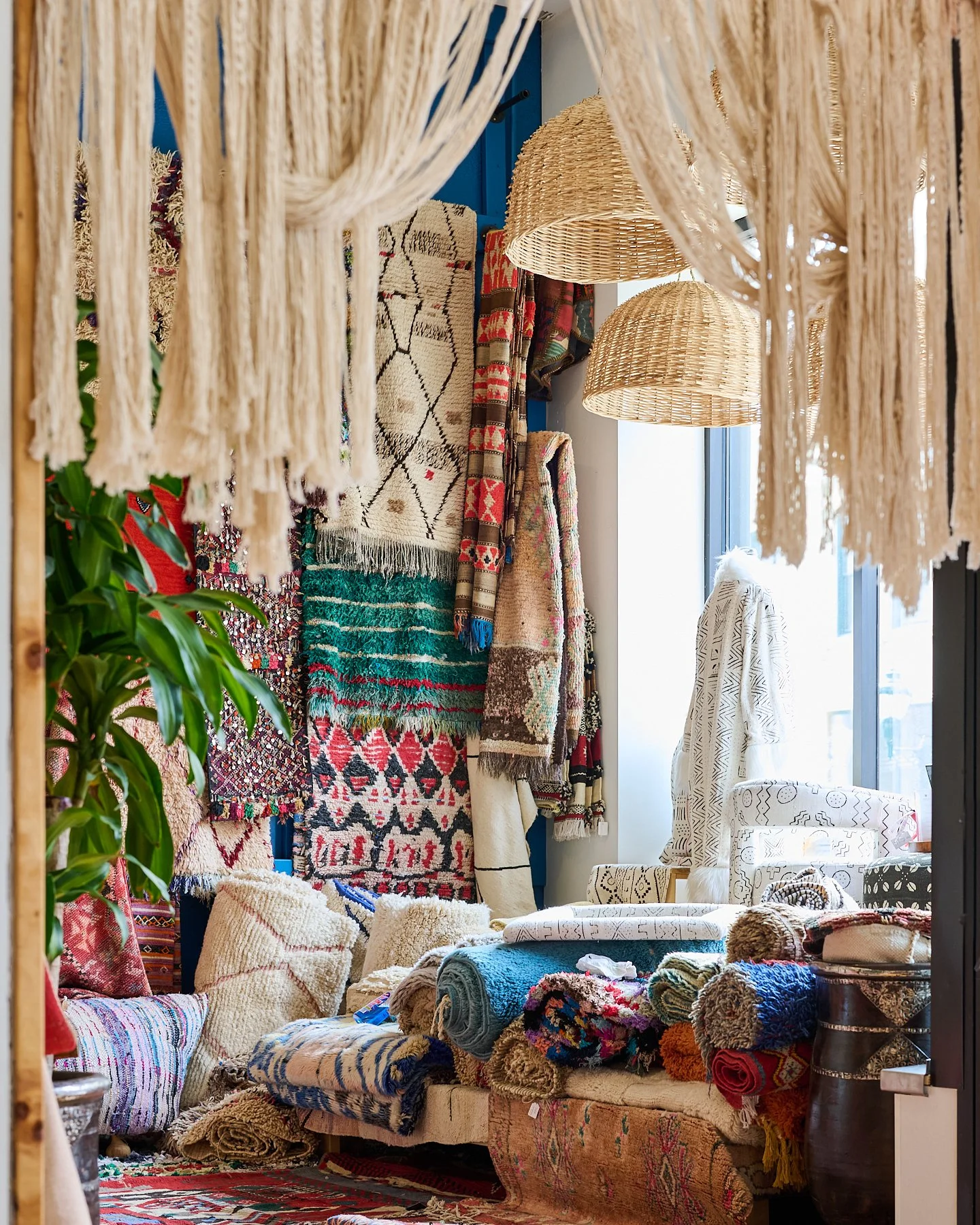 SOCIALMEDIA SIZEDCarol Spags Photography 81.jpg